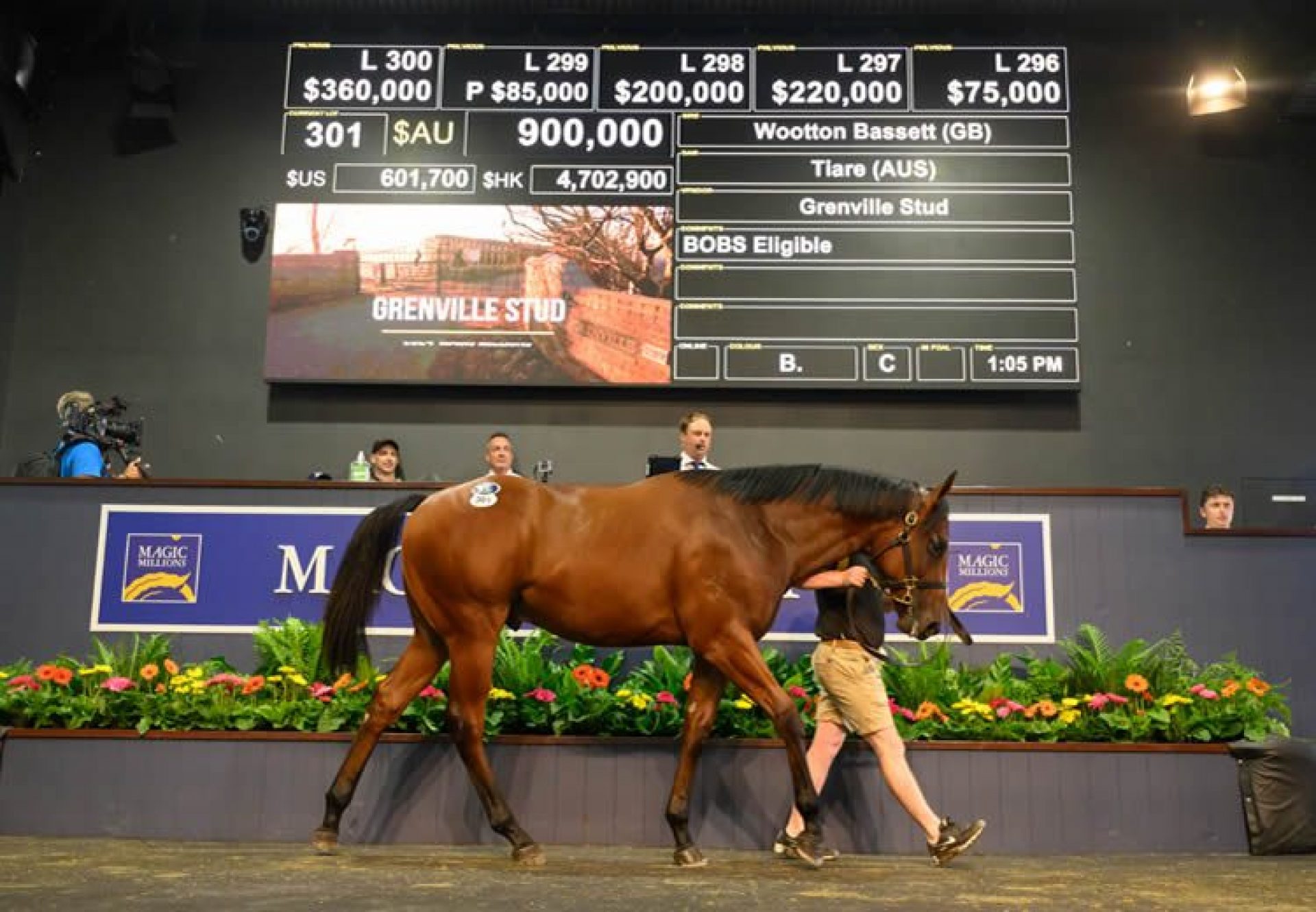 Wootton Bassett X Tiare selling for $900,000 at the Magic Millions