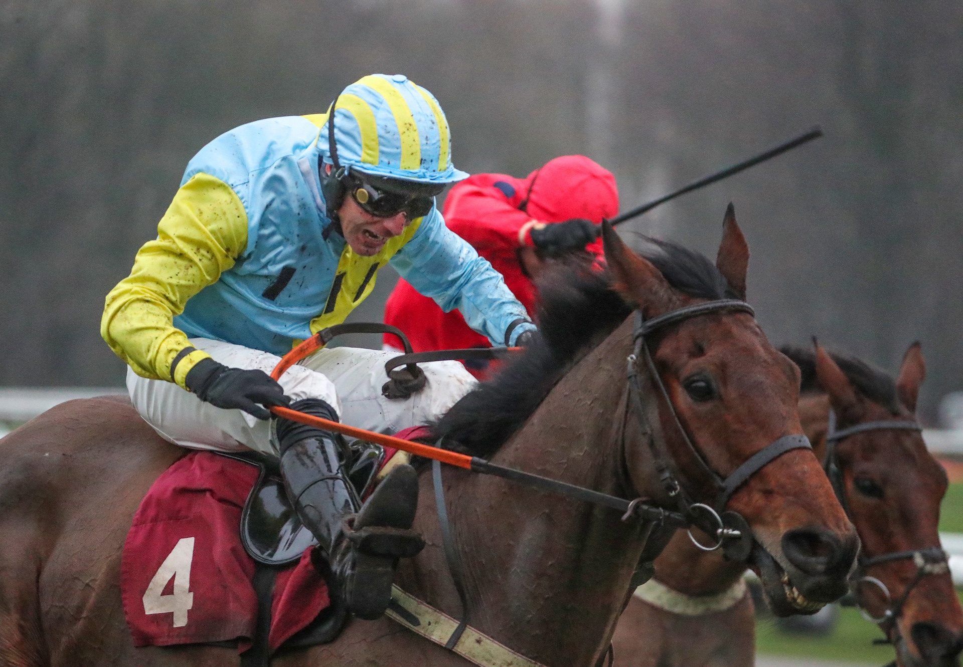 Wakanda (Westerner) Lands The Grade 2 Peter Marsh Chase At Haydock