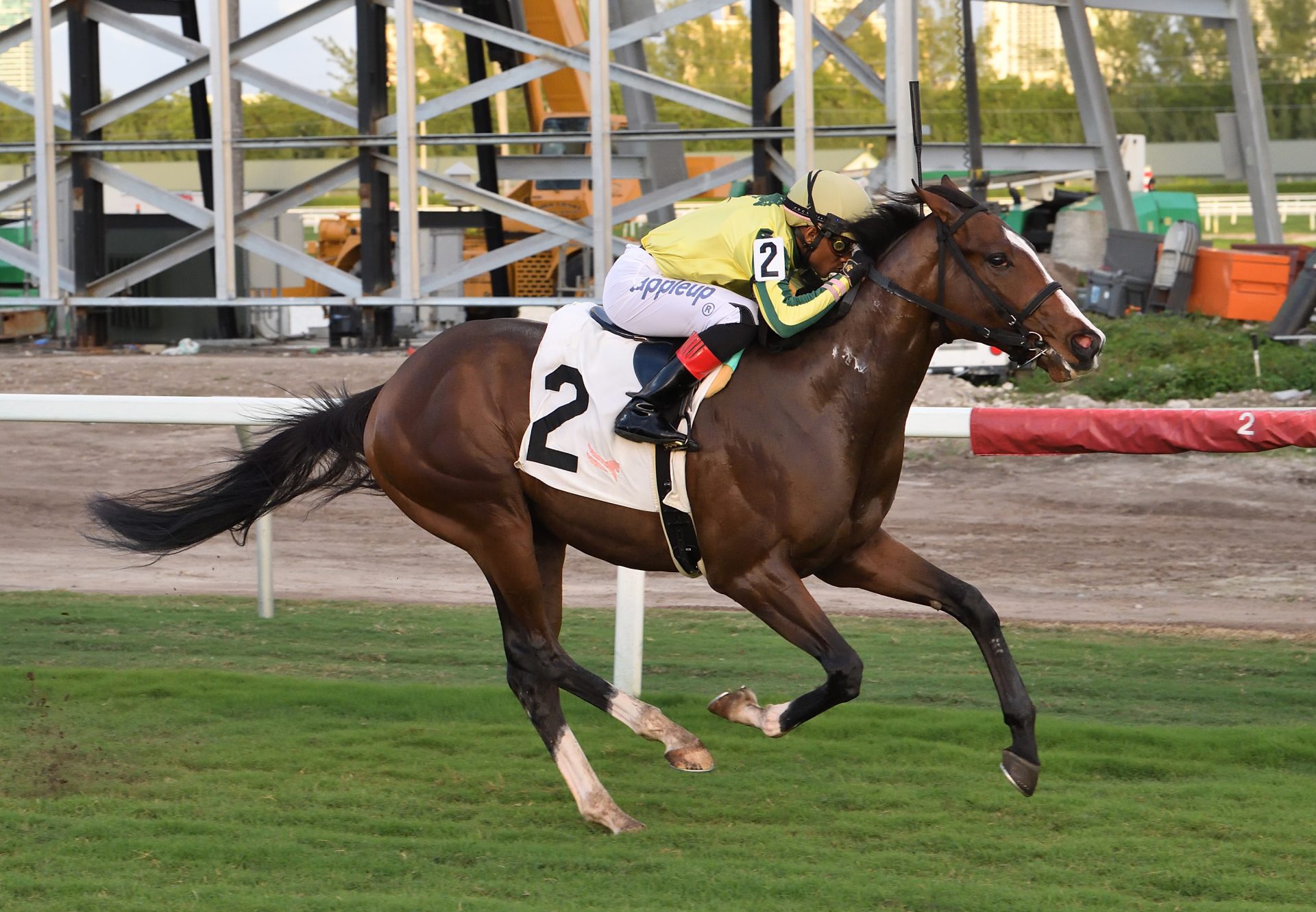 Wake Surf (Classic Empire) wins Gulfstream Park MSW