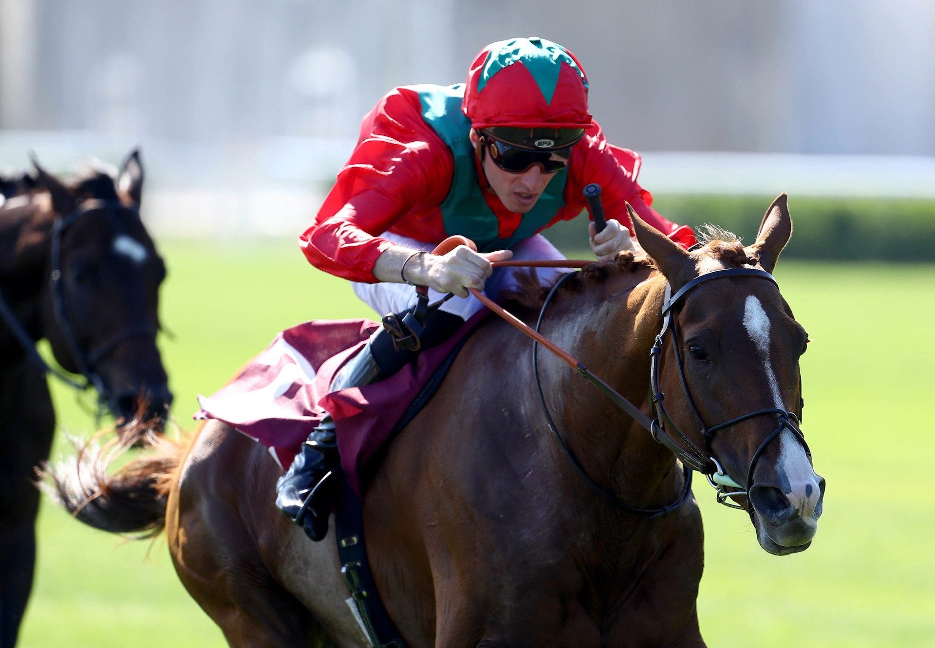 Waldgeist (Galileo) Wins The Gr.2 Prix Foy at Longchamp