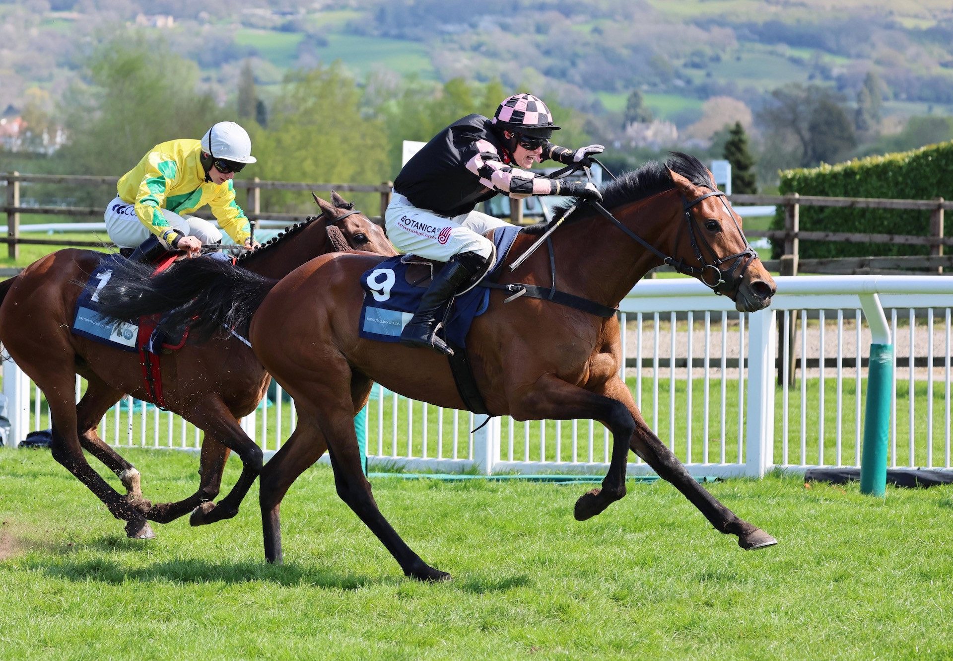 Walk In Clover (Walk In The Park) Wins The Grade 2 Mares’ Novices’ Chase At Cheltenham
