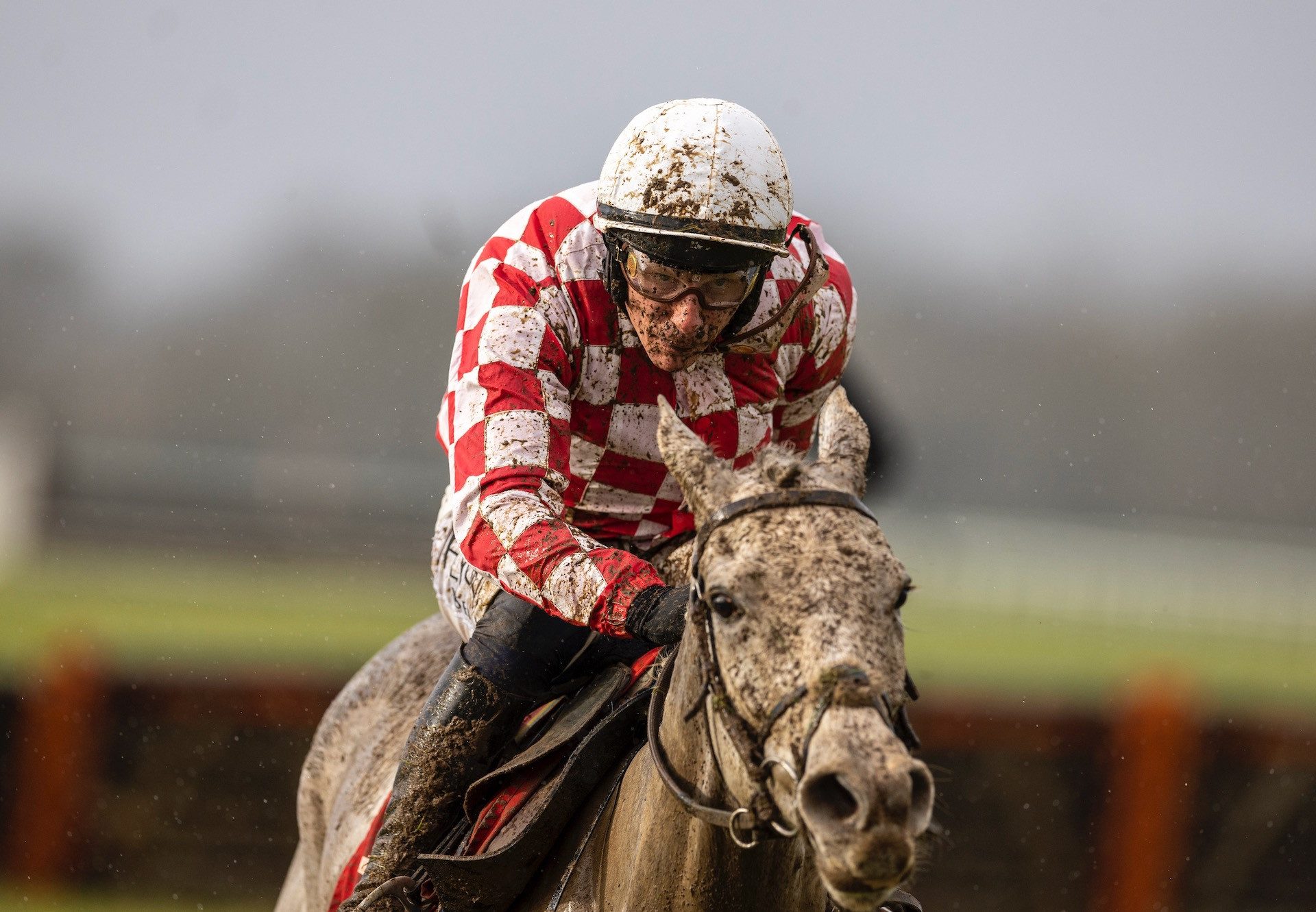 Walk In The Brise (Walk In The Park) Wins The Maiden Hurdle At Cork