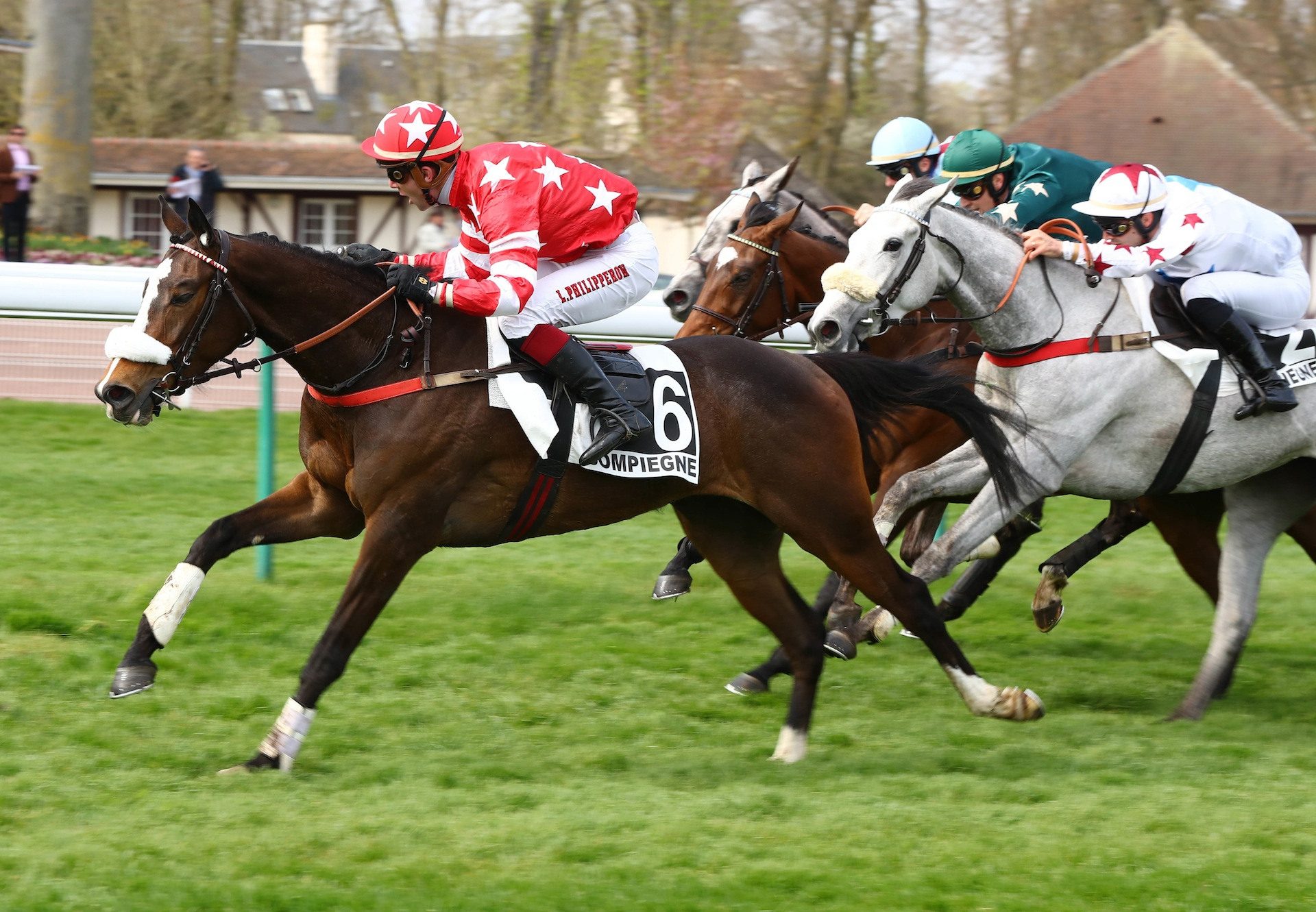 Walk In The Park Filly Golden Park Wins Over Hurdles