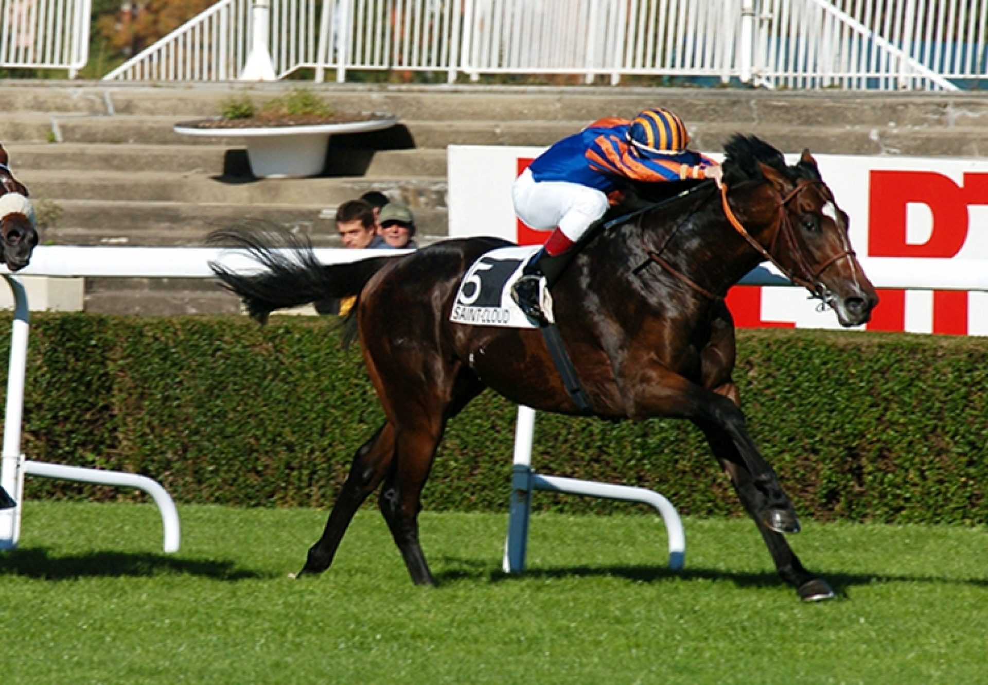 Walk In The Park winning his maiden at Saint-Cloud