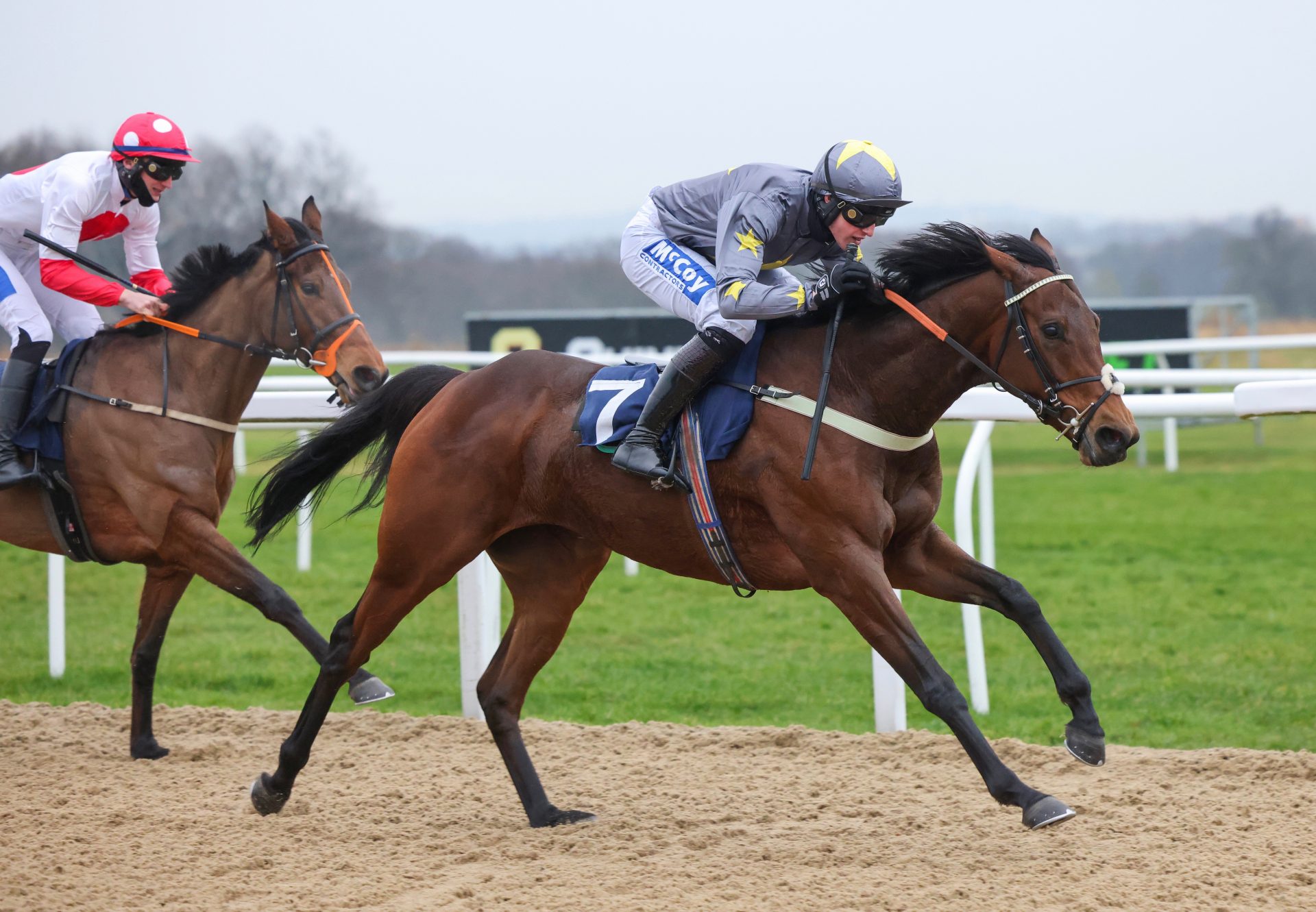 Walk In The Storm (Walk In The Park) Wins The Mares Bumper At Newcastle