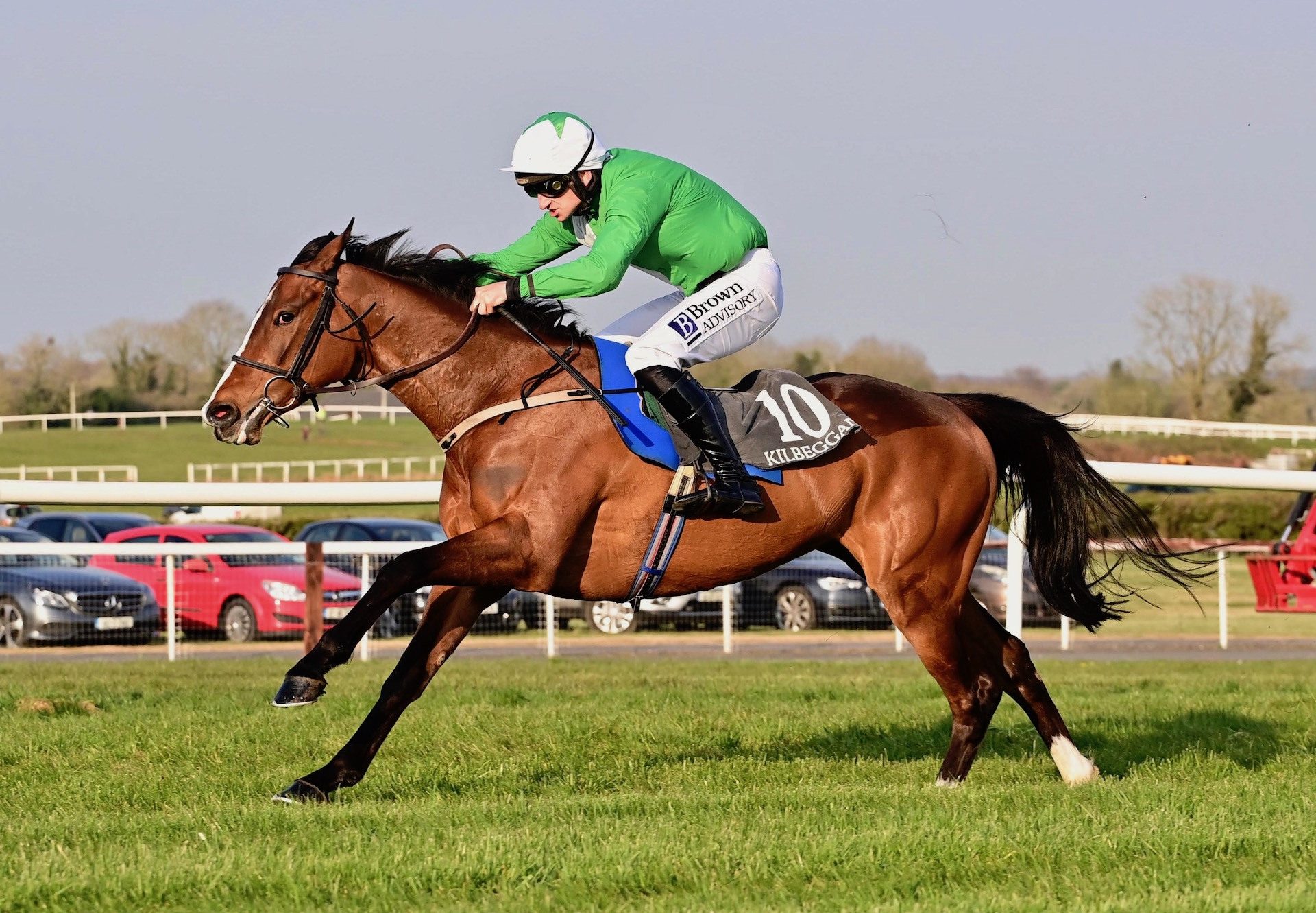 Walk On The Moone (Walk In The Park) Wins The Mares Bumper At Kilbeggan