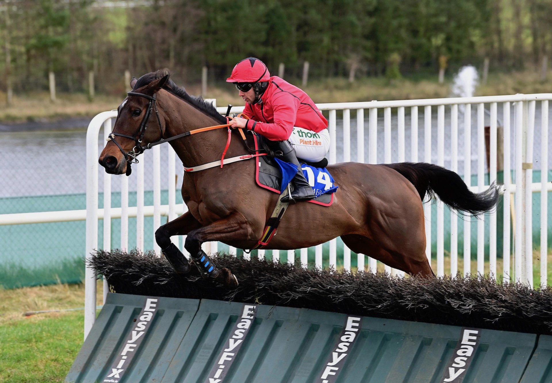 Walk With Paul (Walk In The Park) Wins The Mares Maiden Hurdle At Limerick