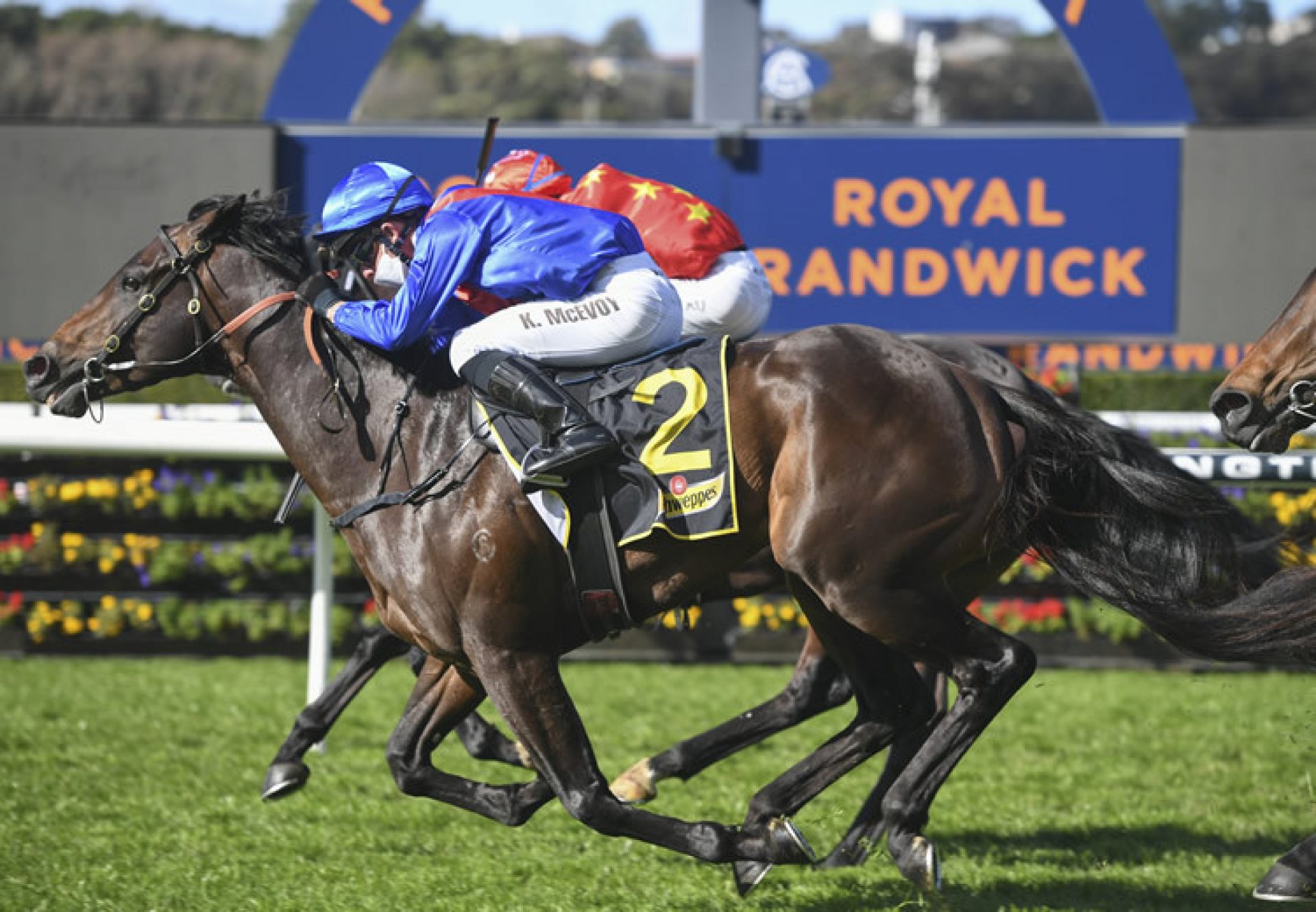 War Eternal (Pierro) winning at Randwick