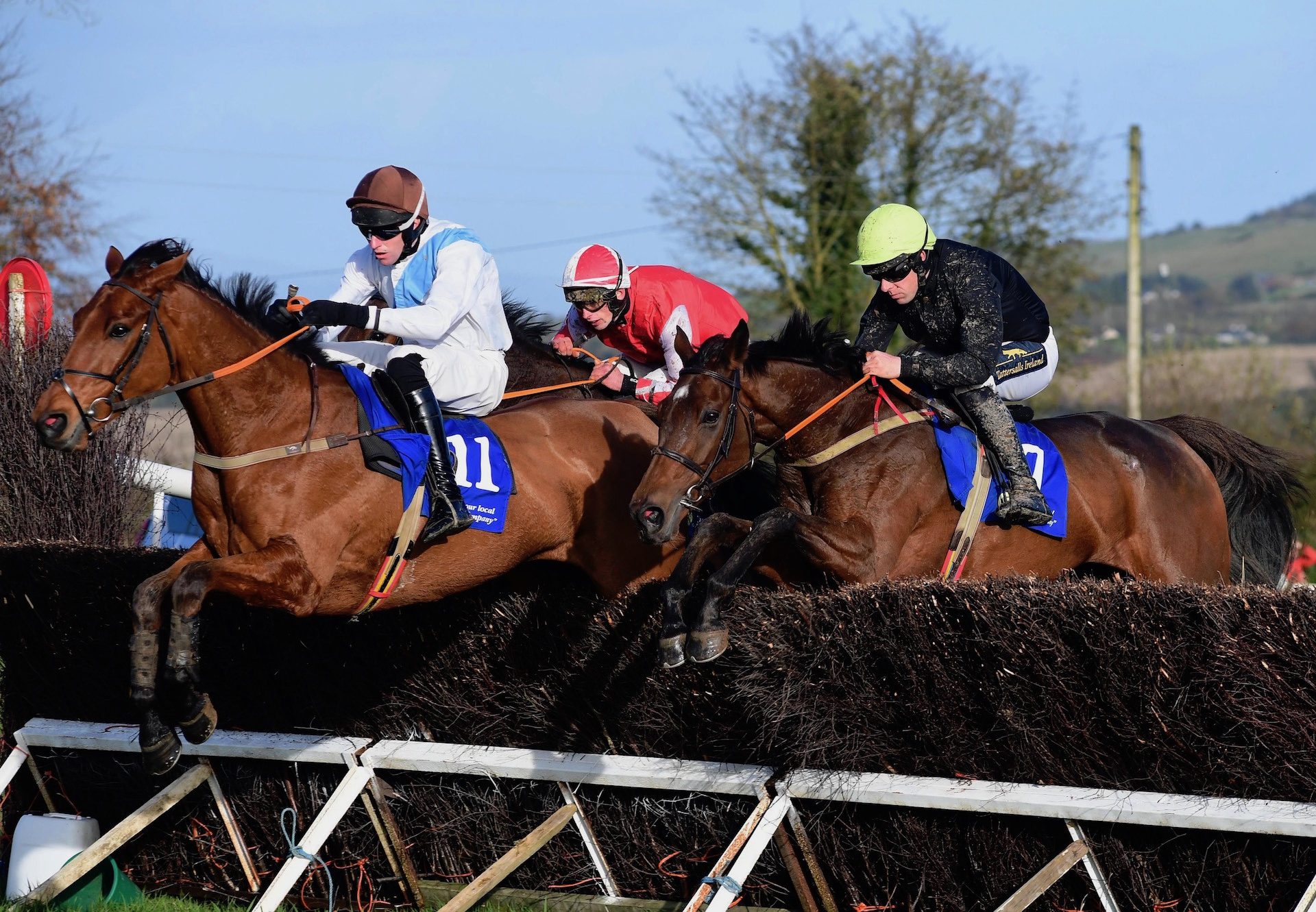 Wepushourlucksofar  (Mahler) And Moon Over Mexico (Soldier Of Fortune) Dead Heat At Dromahane