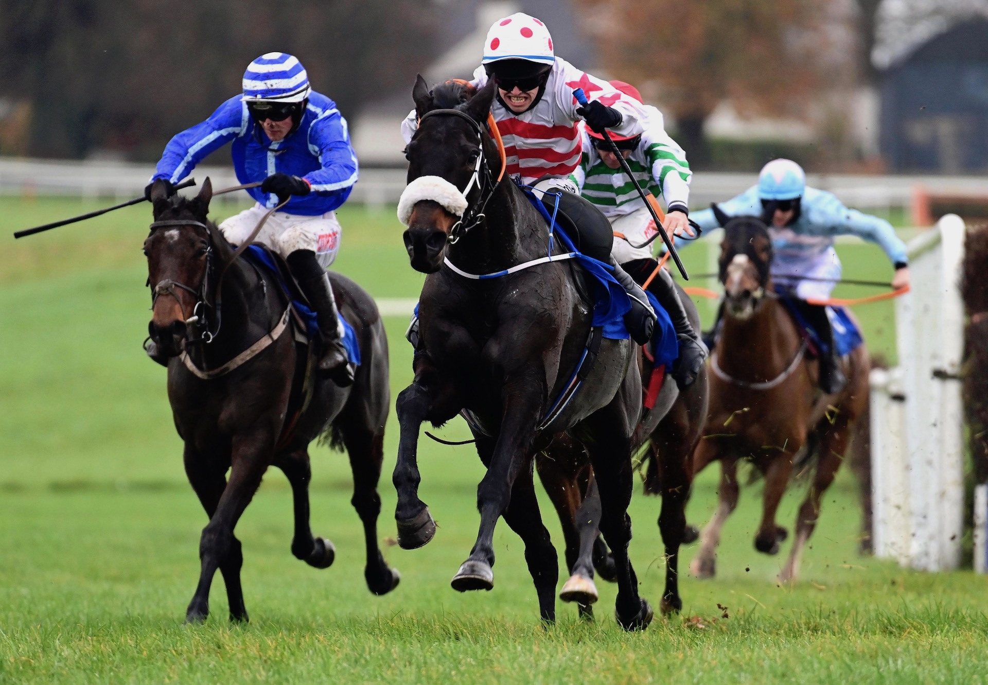 West Cork Wildway (Yeats) Wins His Beginners Chase At Thurles