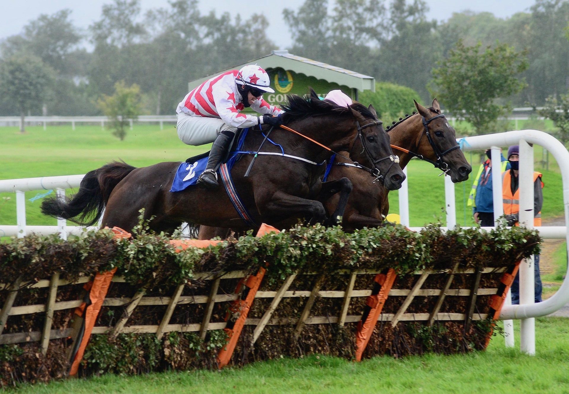 West Cork Wildway (Yeats) Wins The Maiden Hurdle At Killarney