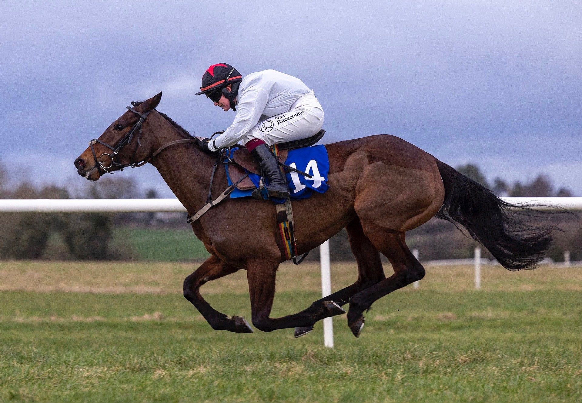 West End Victory (Westerner) Wins Bumper On Debut at Thurles