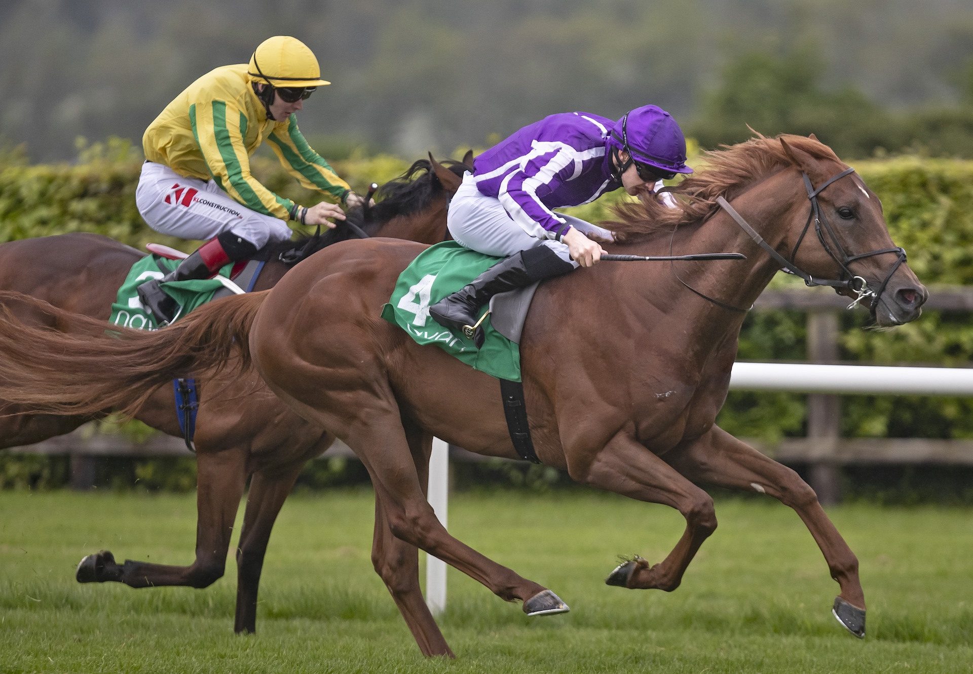 Western Australia (Australia) Wins The Yeats Stakes at Navan