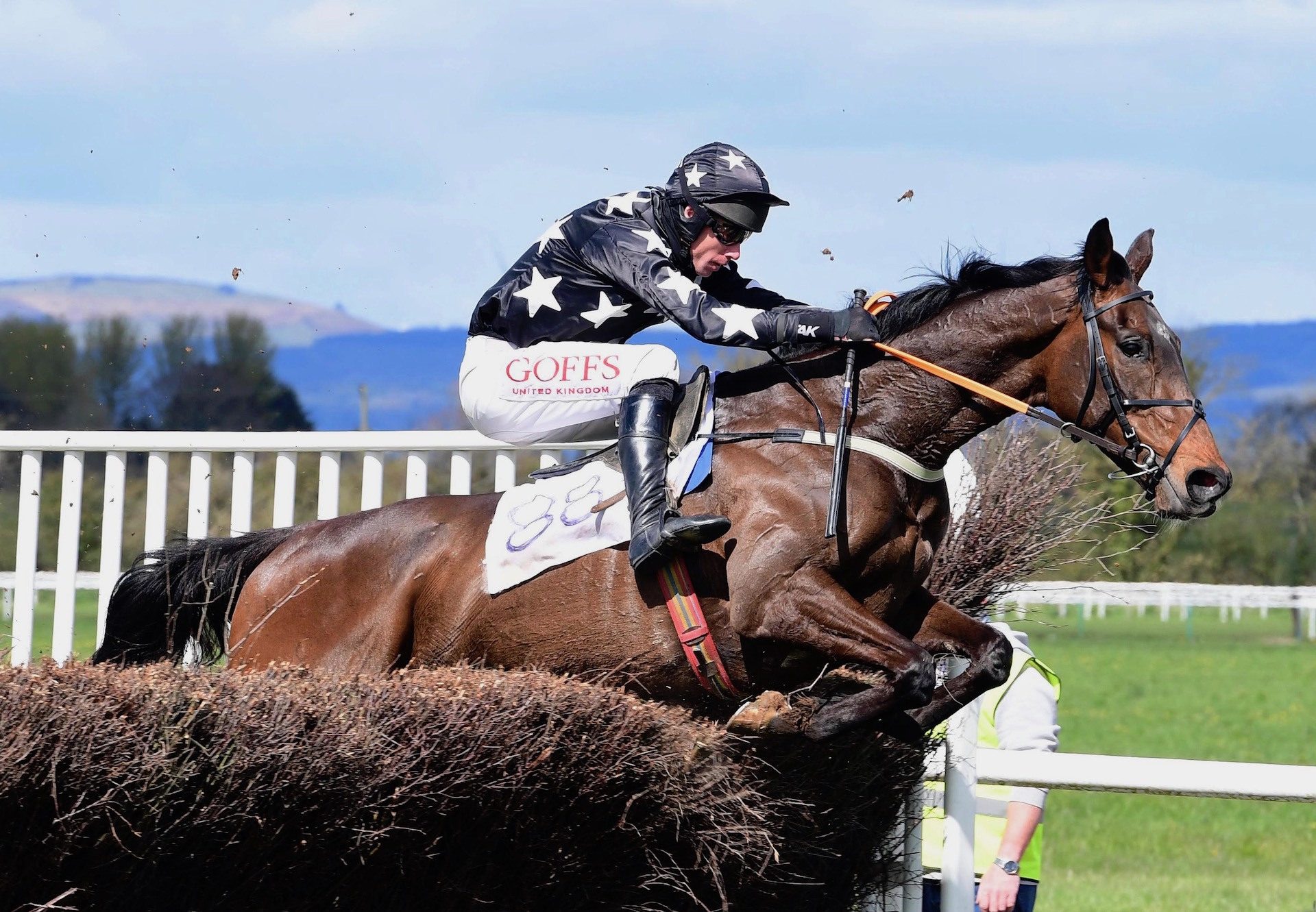 Western Flyer (Westerner) Wins The Five Year Old Maiden At Tipperary