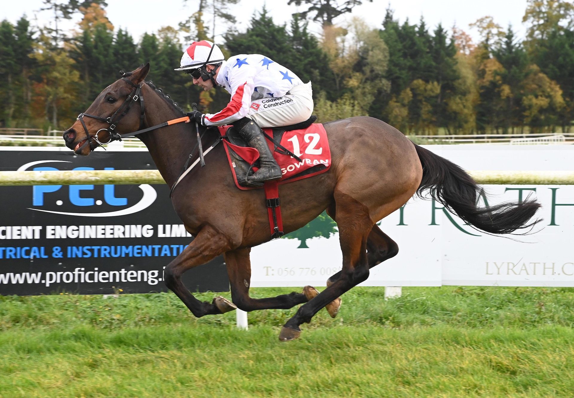 Western Fold (Westerner) Wins The Maiden Hurdle At Gowran Park