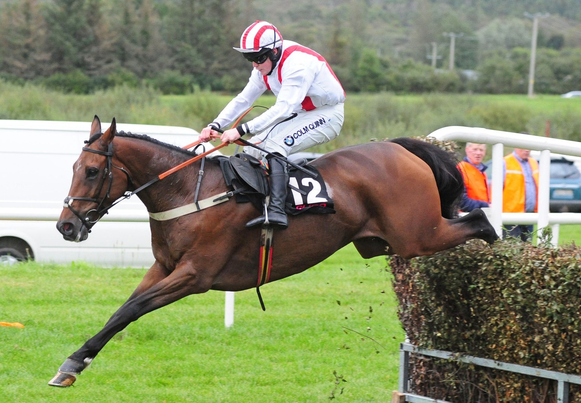 Western Sea (Westerner) Wins The Beginners Chase At Sligo