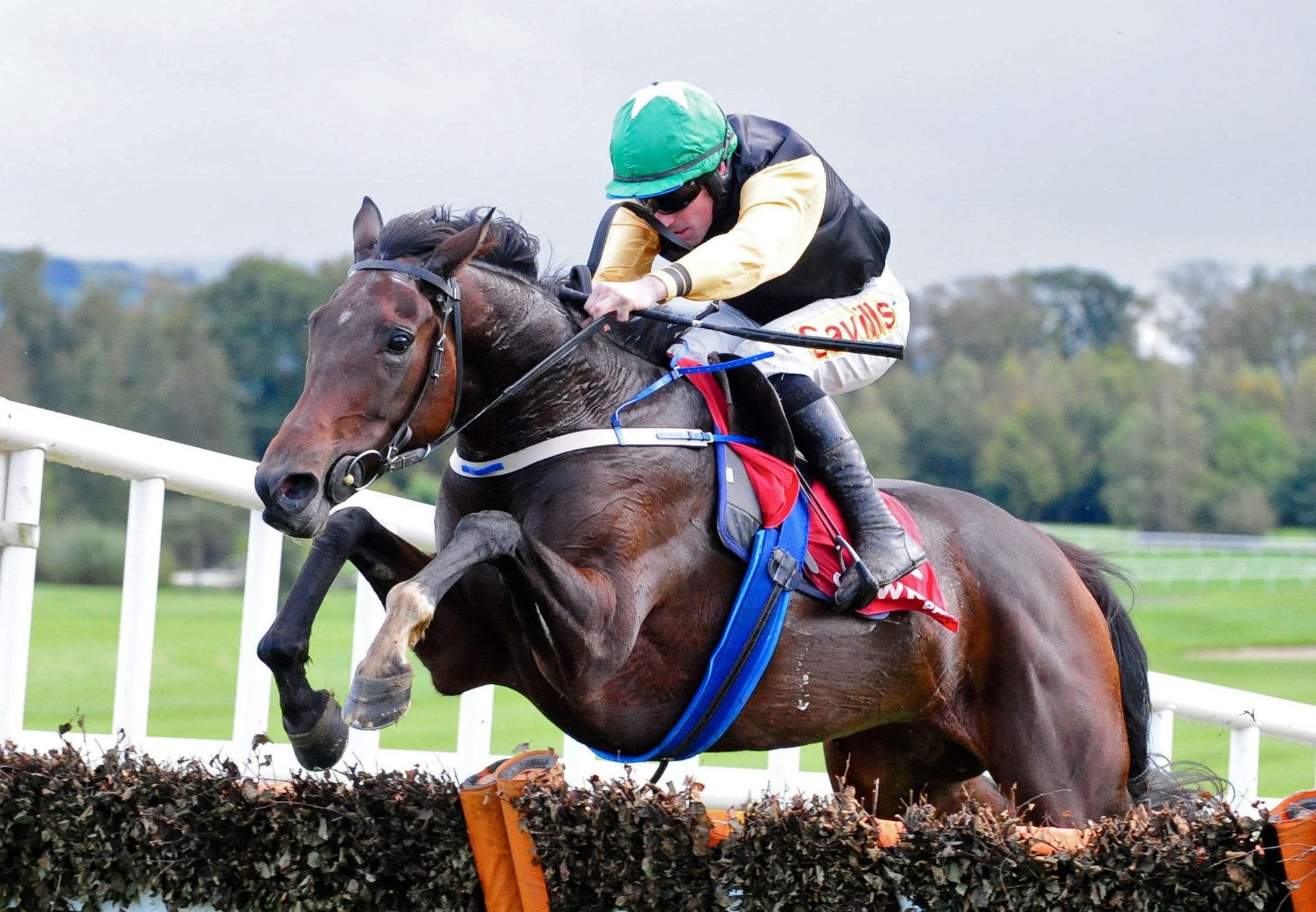 Western Victory (Westerner) Wins Listed Feature At Gowran Park