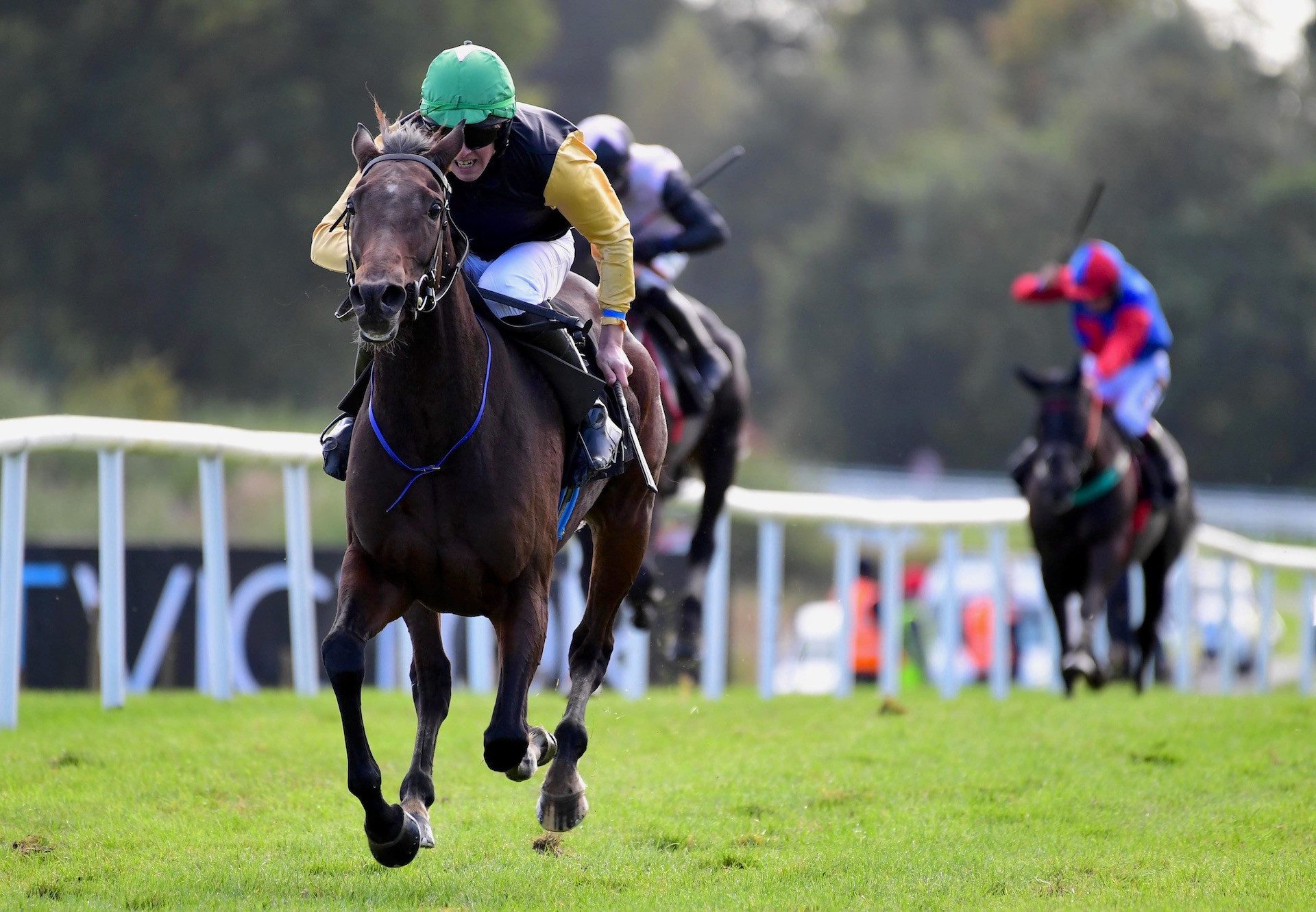 Western Victory (Westerner) Wins The 2021 Listed Pat Walsh Memorial Mares Hurdle At Gowran Park