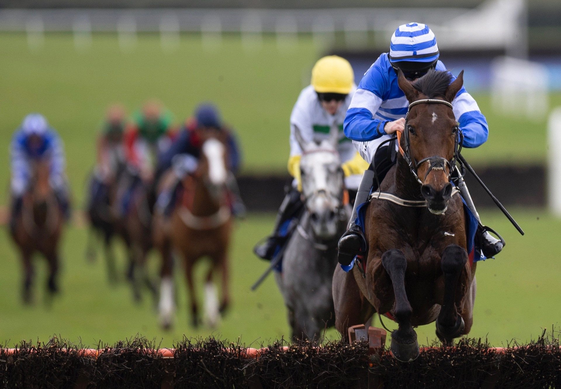 Western Walk (Walk In The Park) Wins The Grade B Hurdle At Fairyhouse