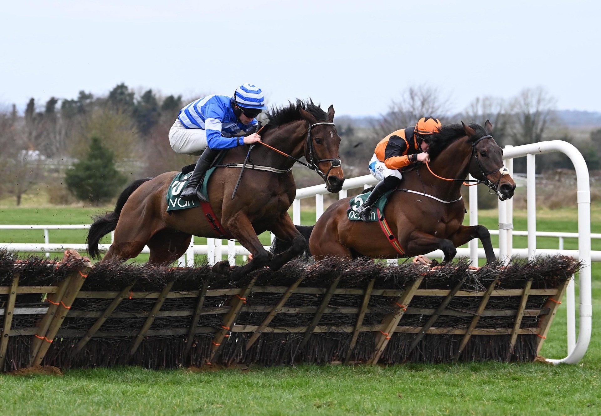 Western Walk (Walk In The Park) Wins The Maiden Hurdle At Navan