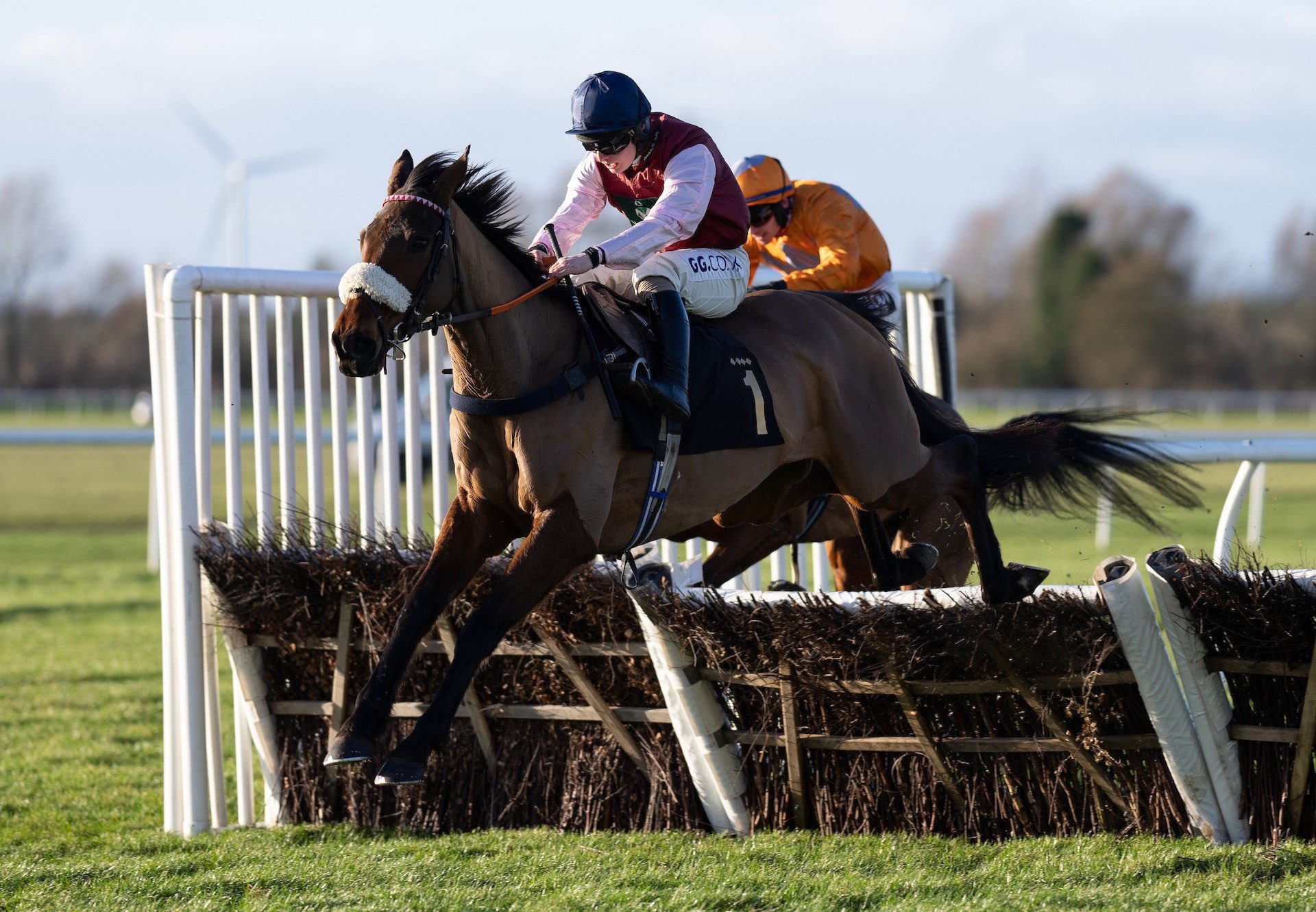 Western Zephyr (Westerner) Wins The Novices Hurdle At Huntingdon