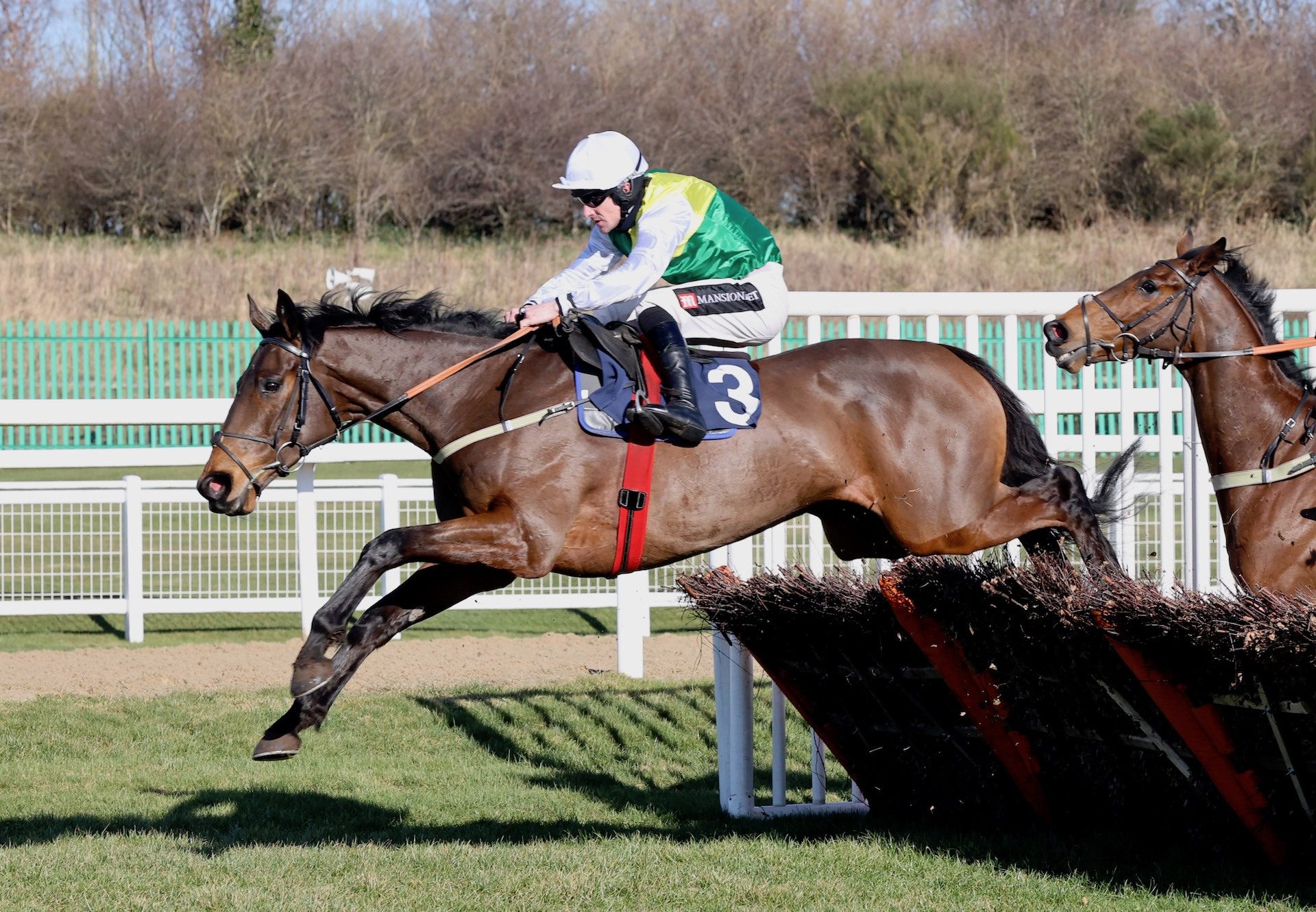 Wetlands (Westerner) Wins The Novices' Hurdle At Newcastle