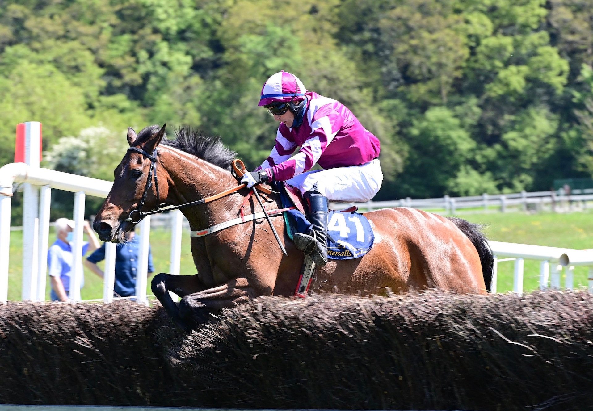 Whacker Clan (Westerner) Wins The 5YO Geldings Maiden At Grennan