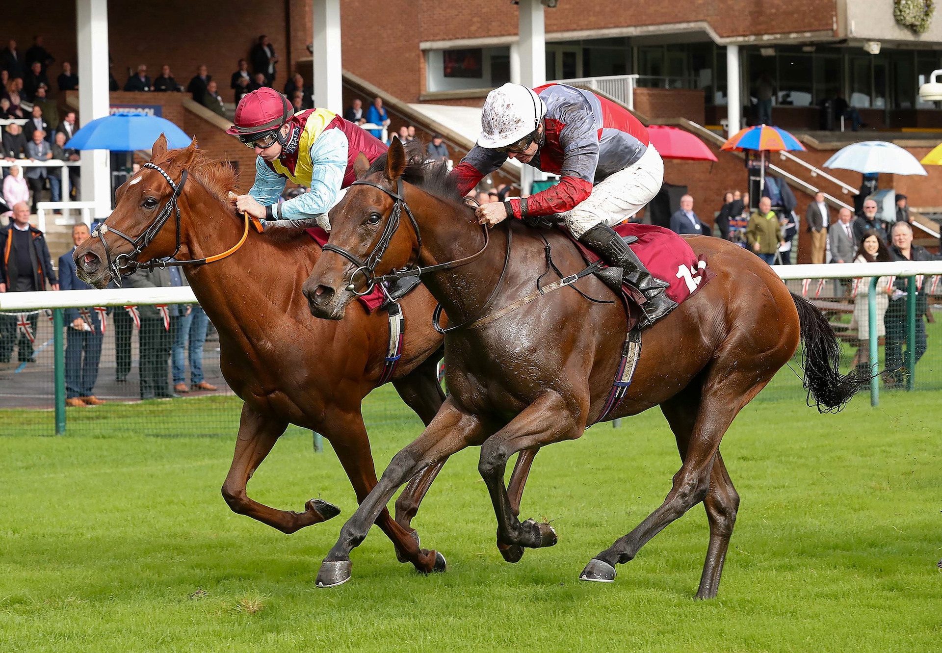 Whatabird Becomes The Latest Winner By Gleneagles