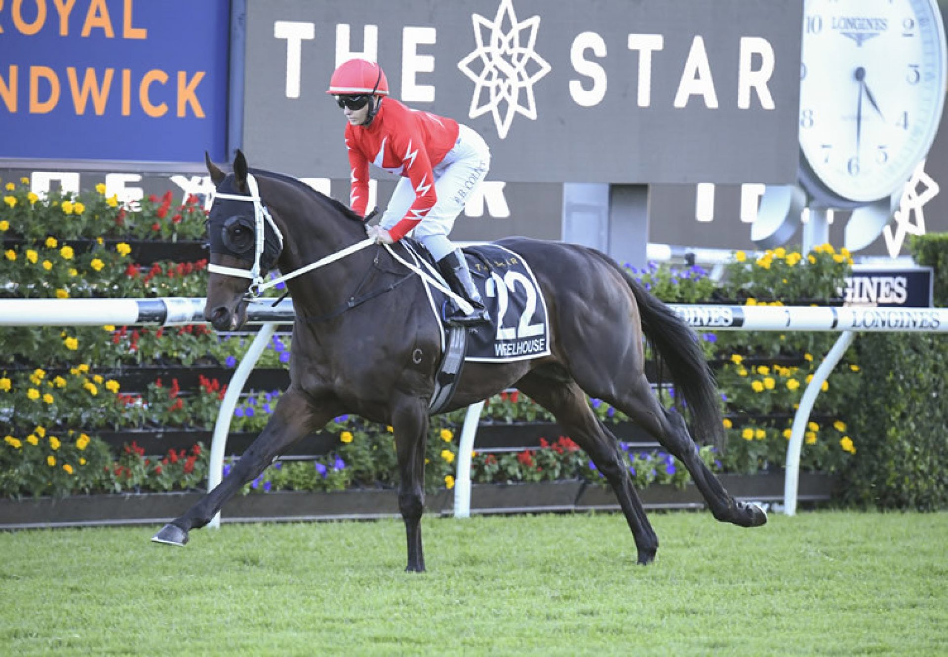 Wheelhouse (Pierro) winning the TAB Wave