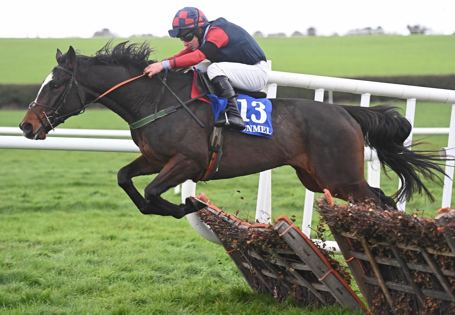 Whiskeywealth (Yeats) Wins His Maiden Hurdle At Clonmel