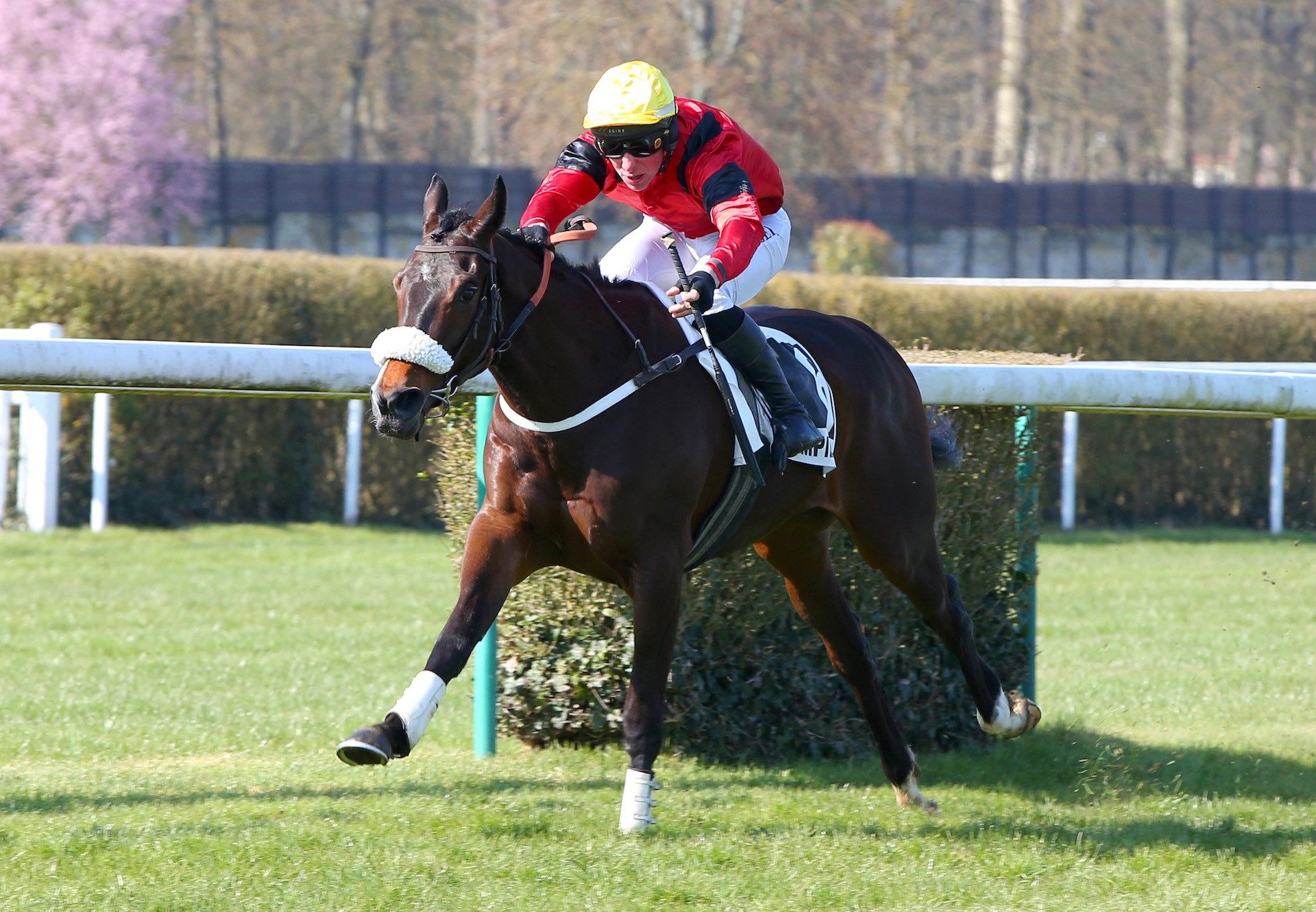 Whymper (Maxios) Makes An Impressive Debut At Compiegne