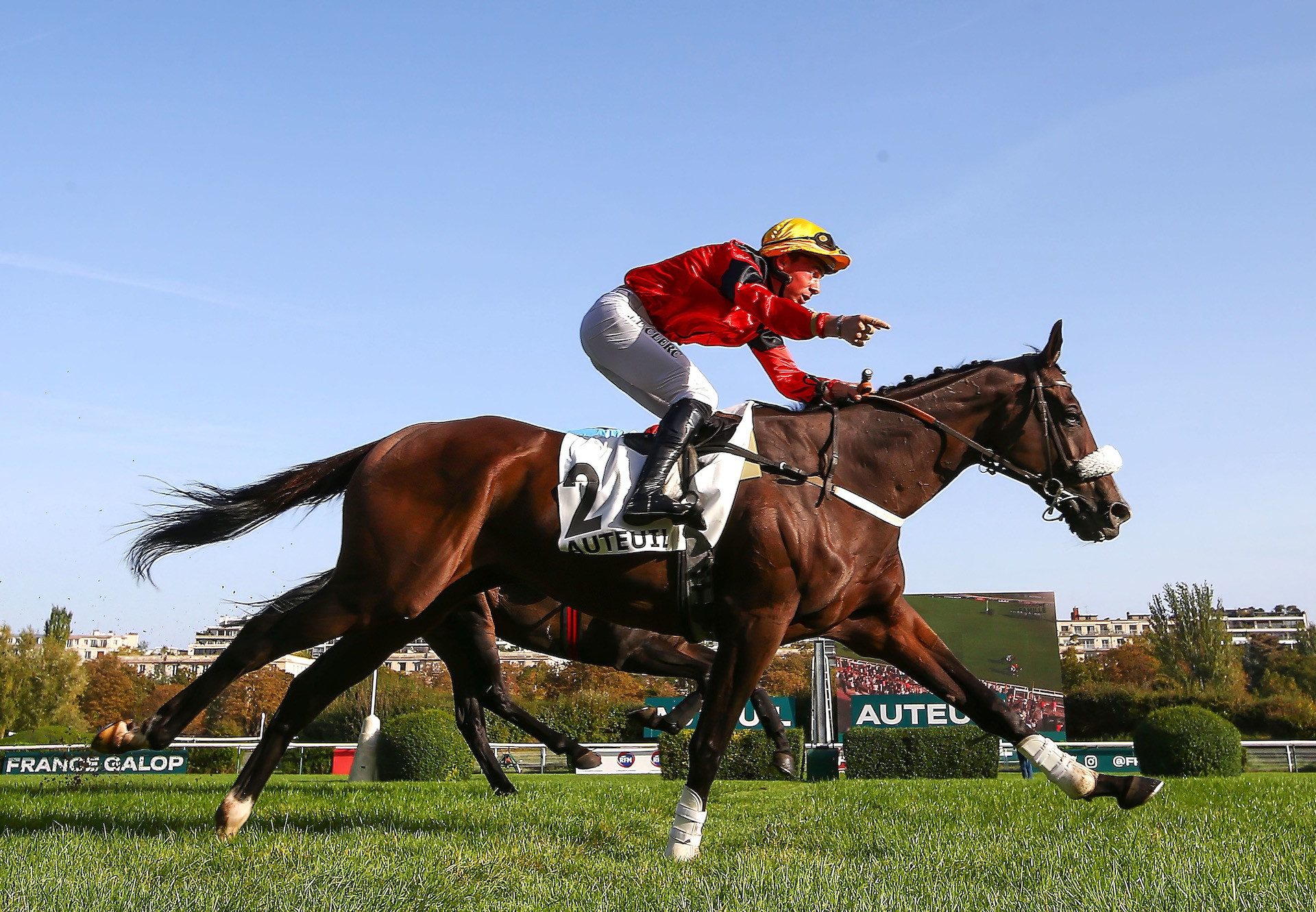 Whymper (Maxios) Wins The Grade 3 Prix De Maisons Laffitte Hurdle At Auteuil