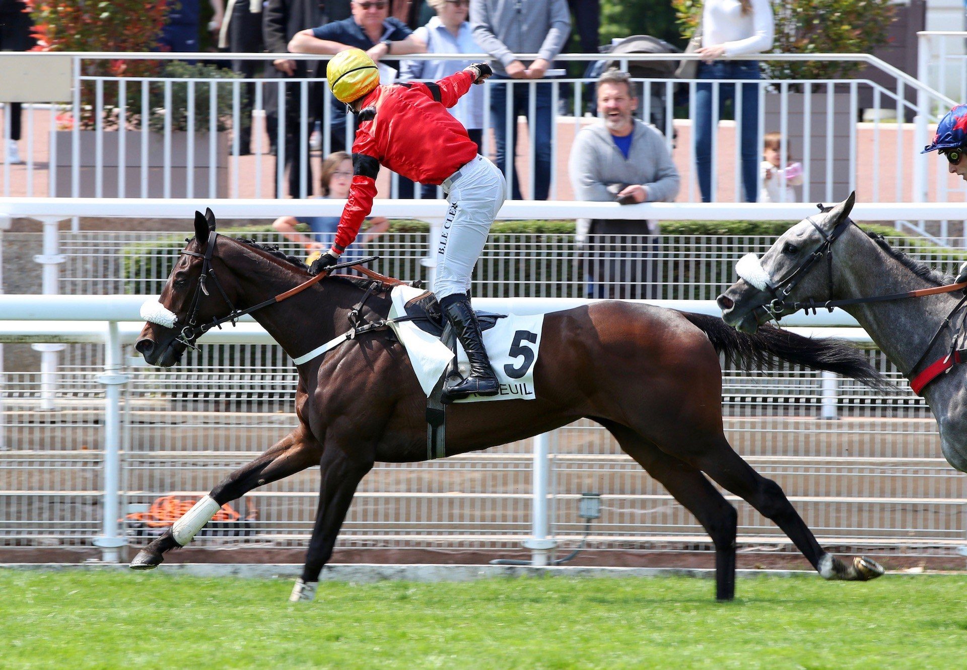 Whymper (Maxios) Wins The Listed Prix Miror at Auteuil