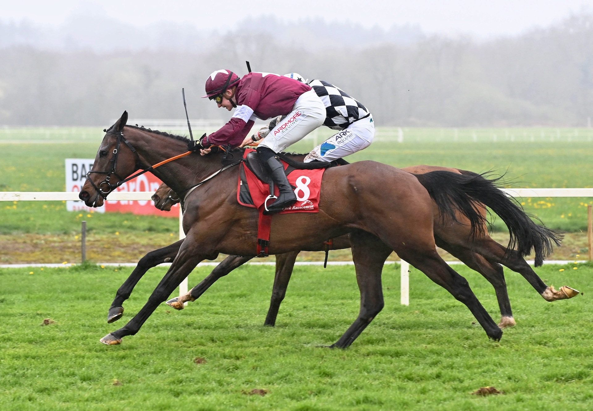 Will Do (Walk In The Park) Wins The Bumper At Cork