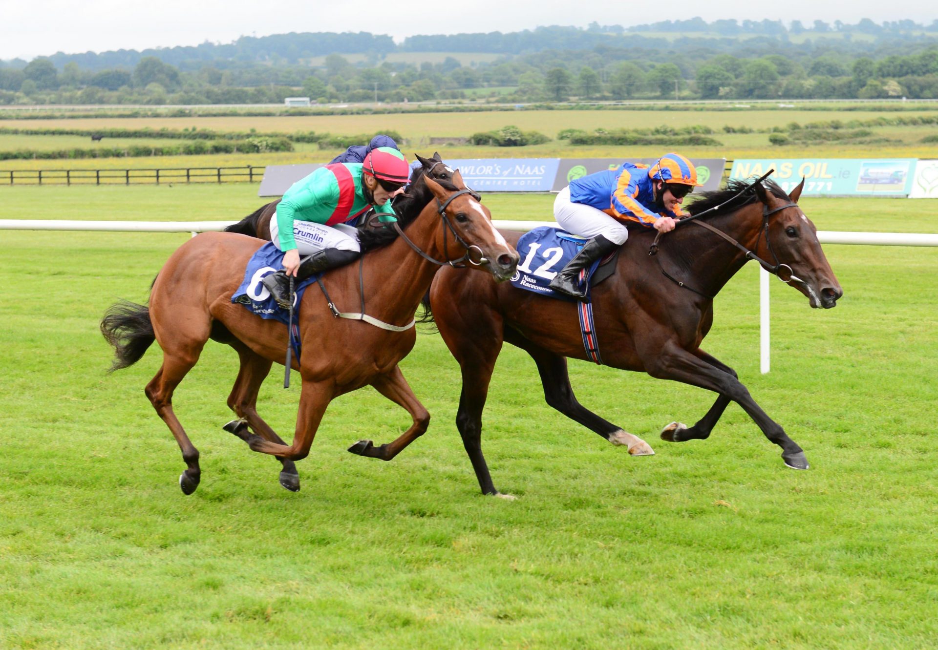 Willow (American Pharoah) wins Listed Naas Oaks Trial