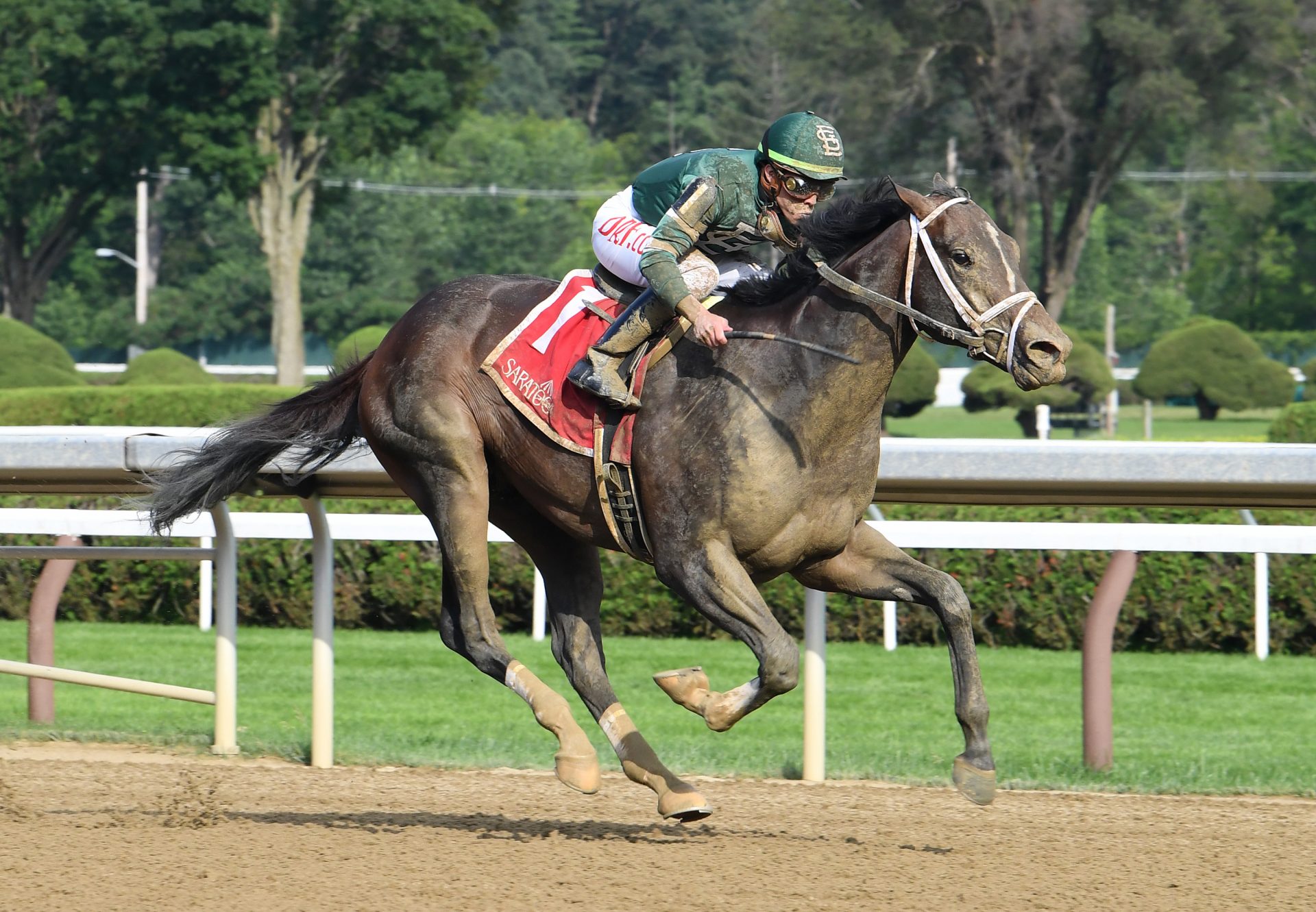 Wit (Practical Joke) Wins The Gr.3 Sanford Stakes at Saratoga
