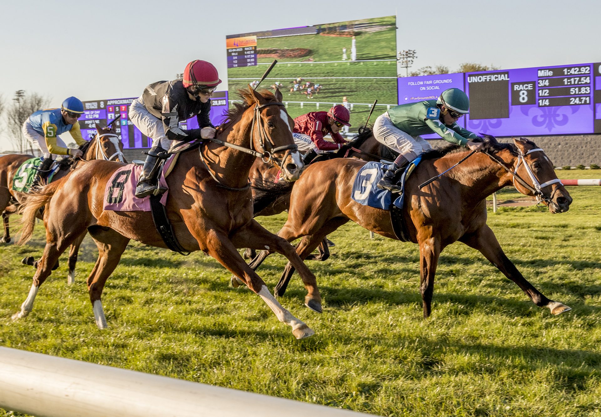 Wonderful Justice (Justify) Wins Black Gold Stakes at Fair Grounds