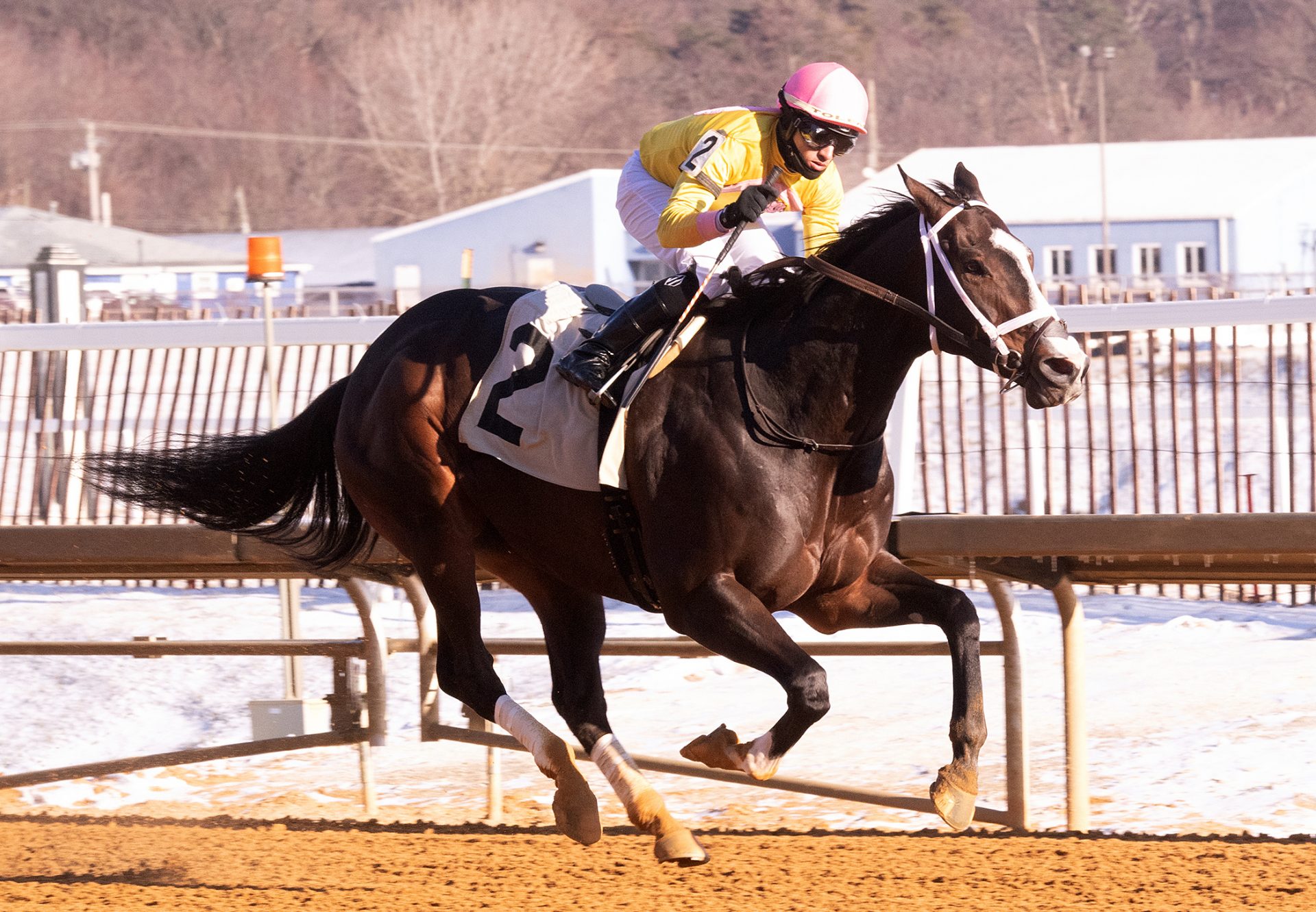 Wondrwherecraigis (Munnings) wins the Fire Plug Stakes at Laurel Park