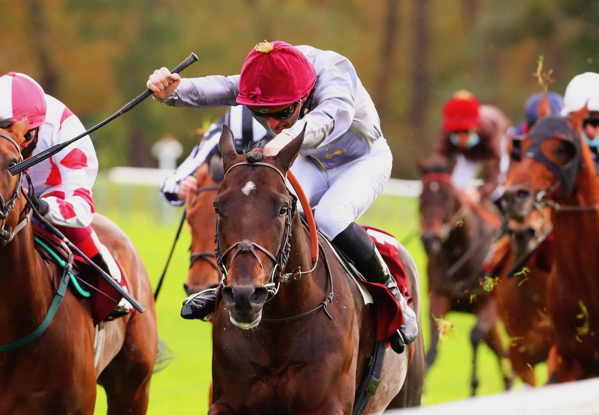 Wooded (Wootton Bassett) Wins The Group 1 Prix De l'Abbaye at ParisLongchamp