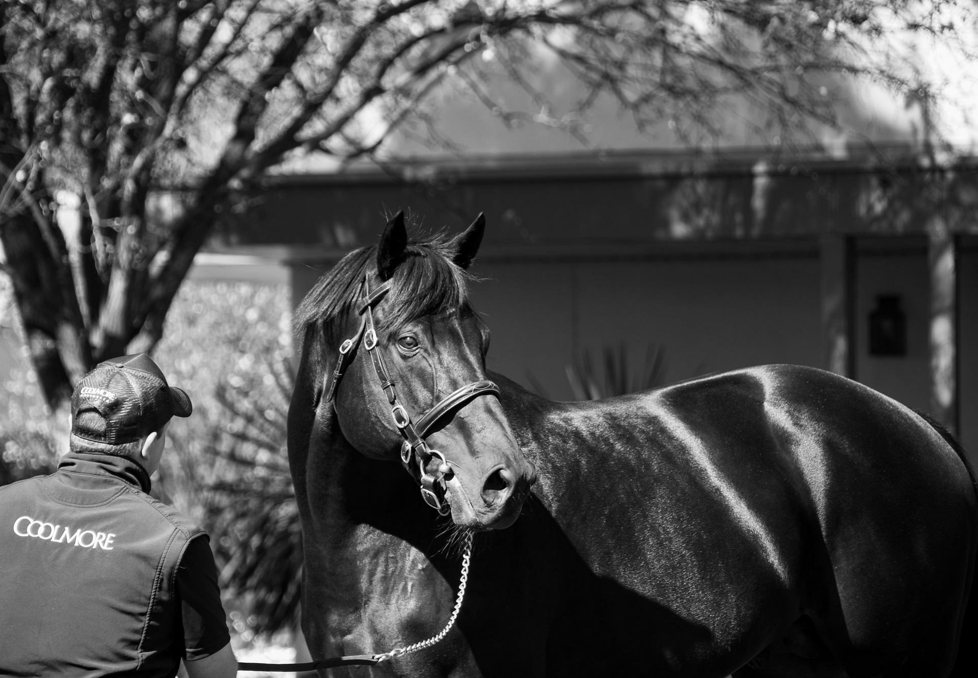 Wootton Bassett Head Shot