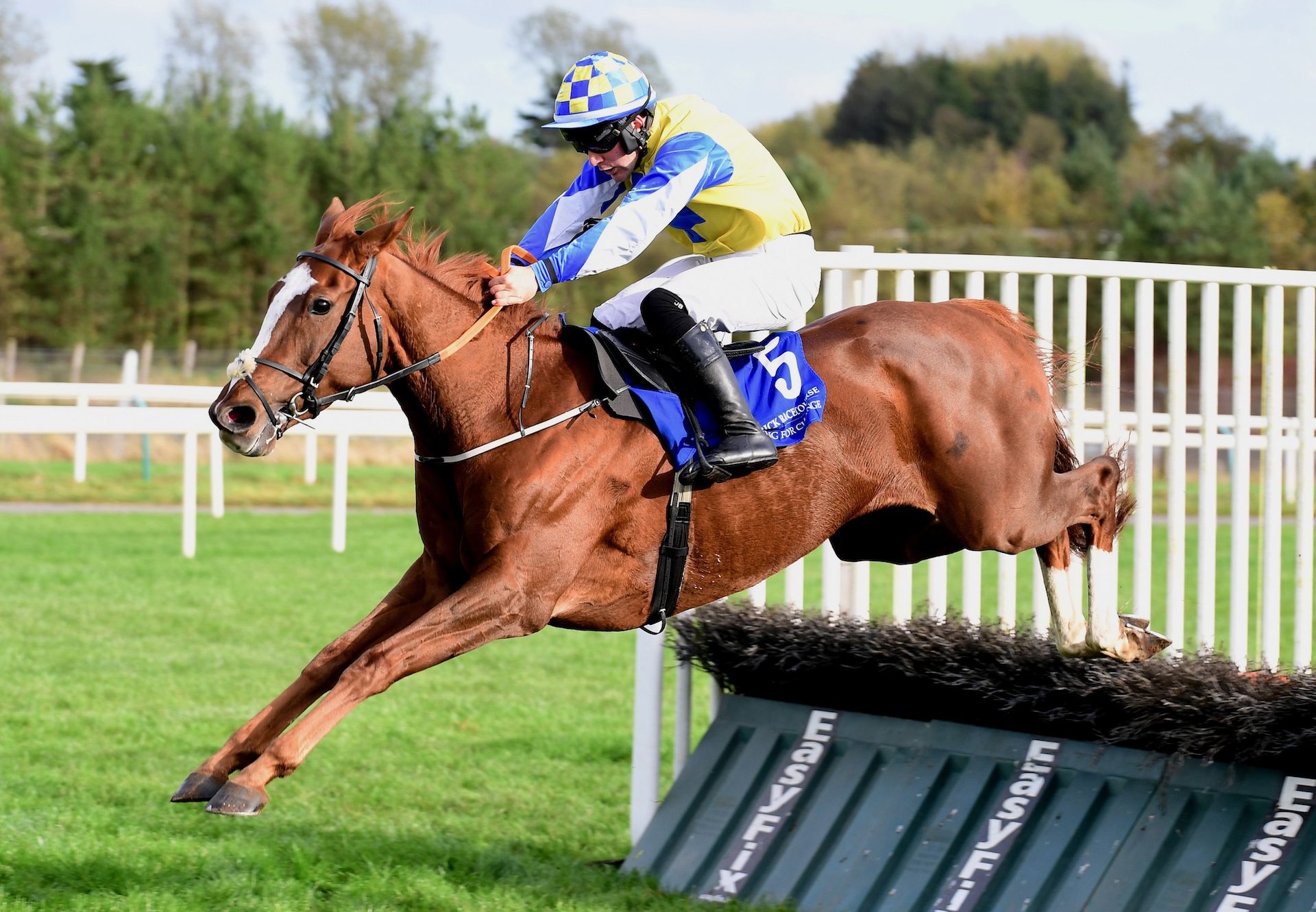 World Of Fortunes (Soldier of Fortune) Wins The Listed Novice Hurdle At Limerick