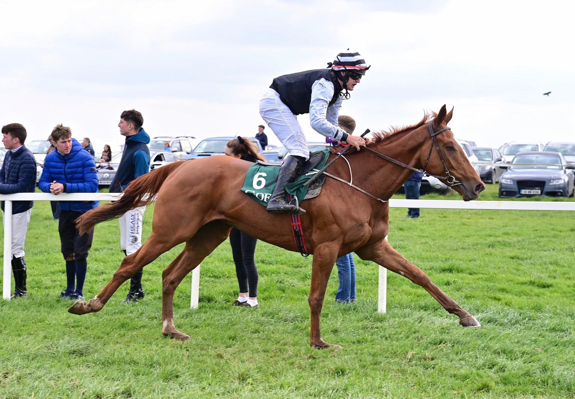 Wrappedupinmay (Ocovango) Wins The 4 Yo Maiden At Dromahane