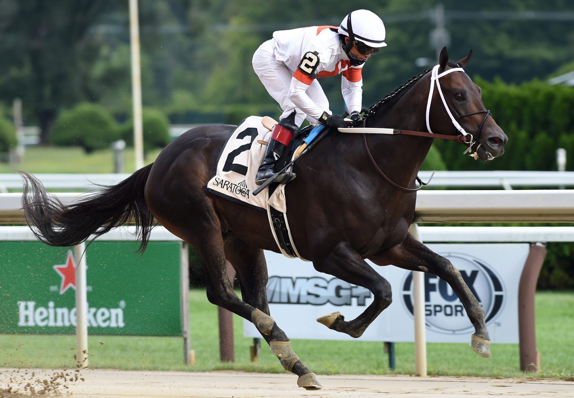 Yaupon (Uncle Mo) wins the  Gr.2 Amsterdam Stakes At Saratoga