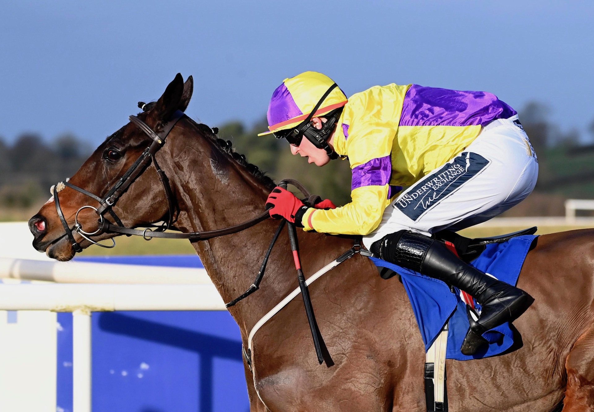 Yeah Man (Westerner) Wins His Maiden Hurdle At Thurles