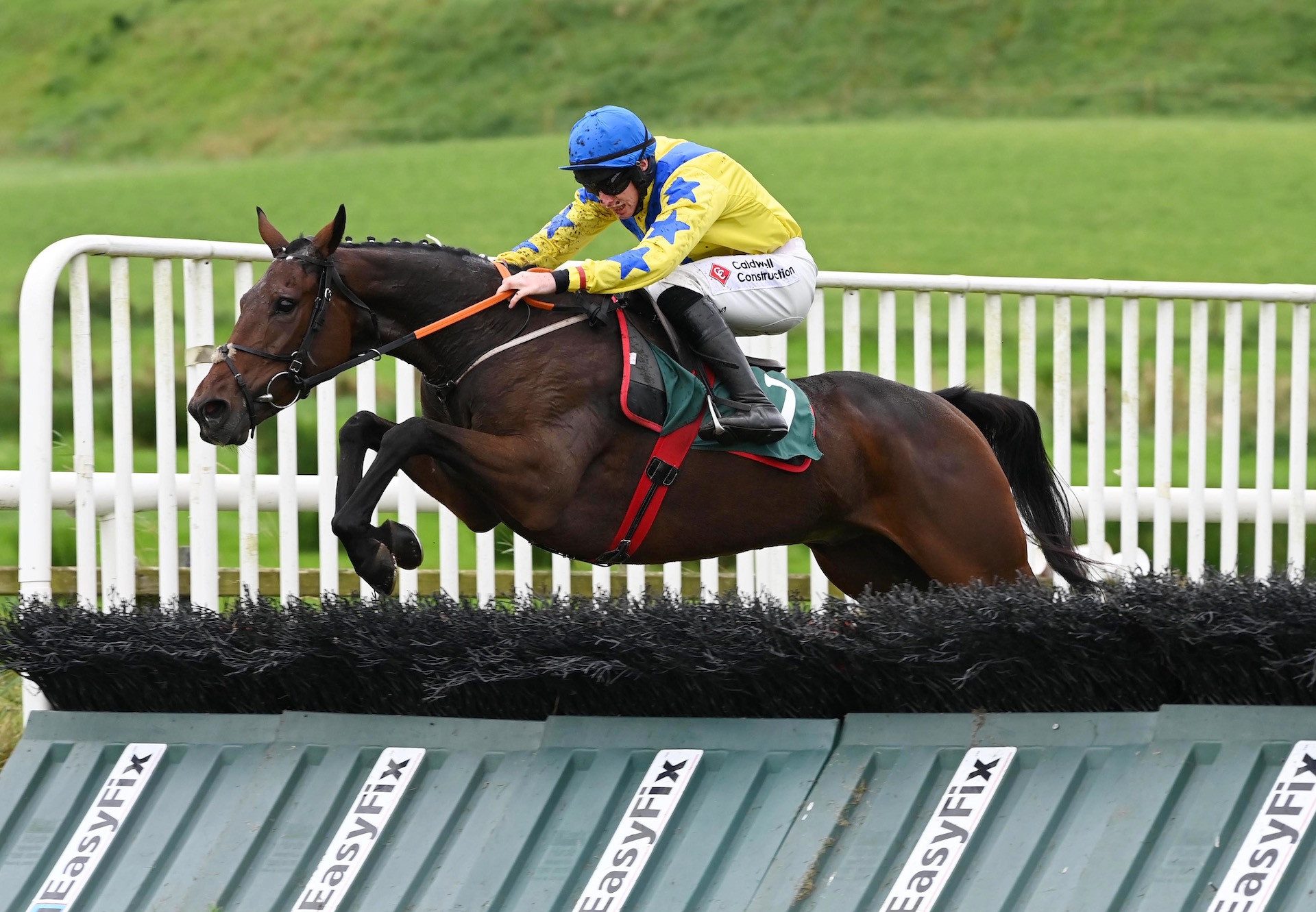 Yeats Star (Yeats) winning a maiden hurdle at Downpatrick