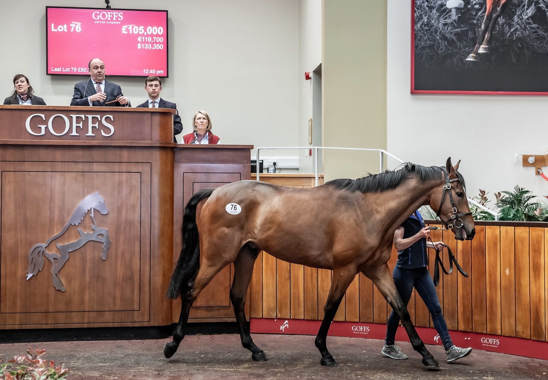 Yeats Ex Talktothetail Sells For £105000 At Goffs Uk