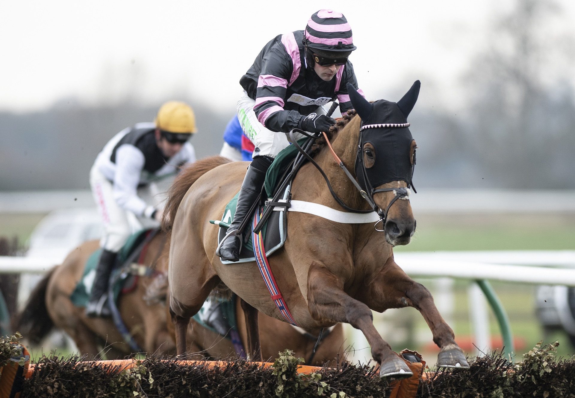 Yellow Dockets (Getaway) Remains Unbeaten Over Hurdles At Warwick