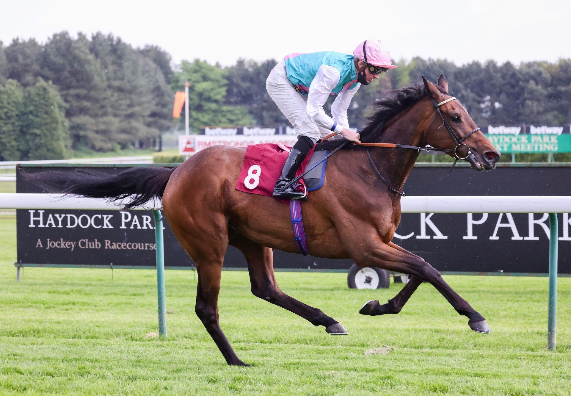 Yesyes (Camelot) Makes A Winning Debut At Haydock