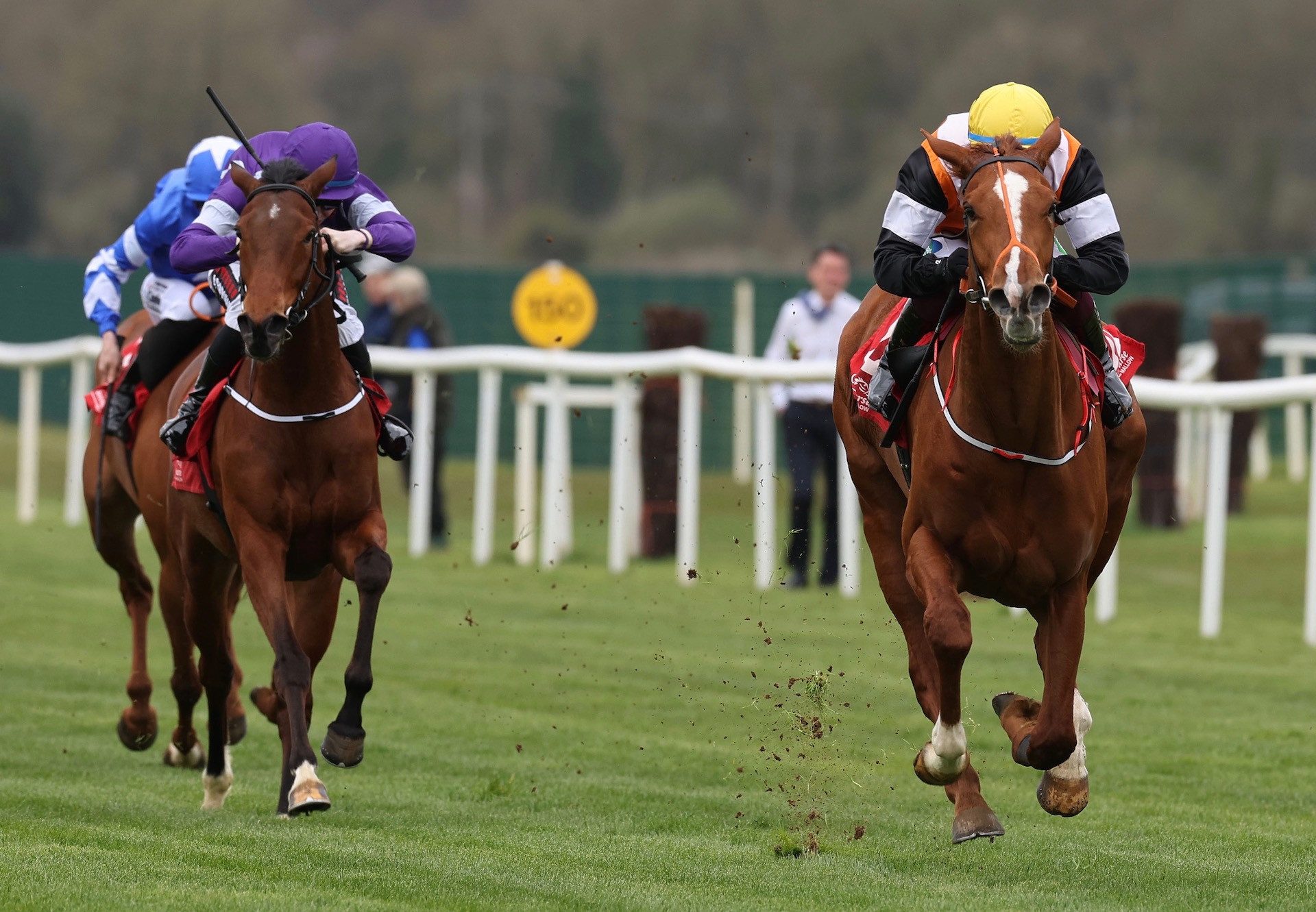 You Send Me (Starspangledbanner) Wins Her Maiden At Cork