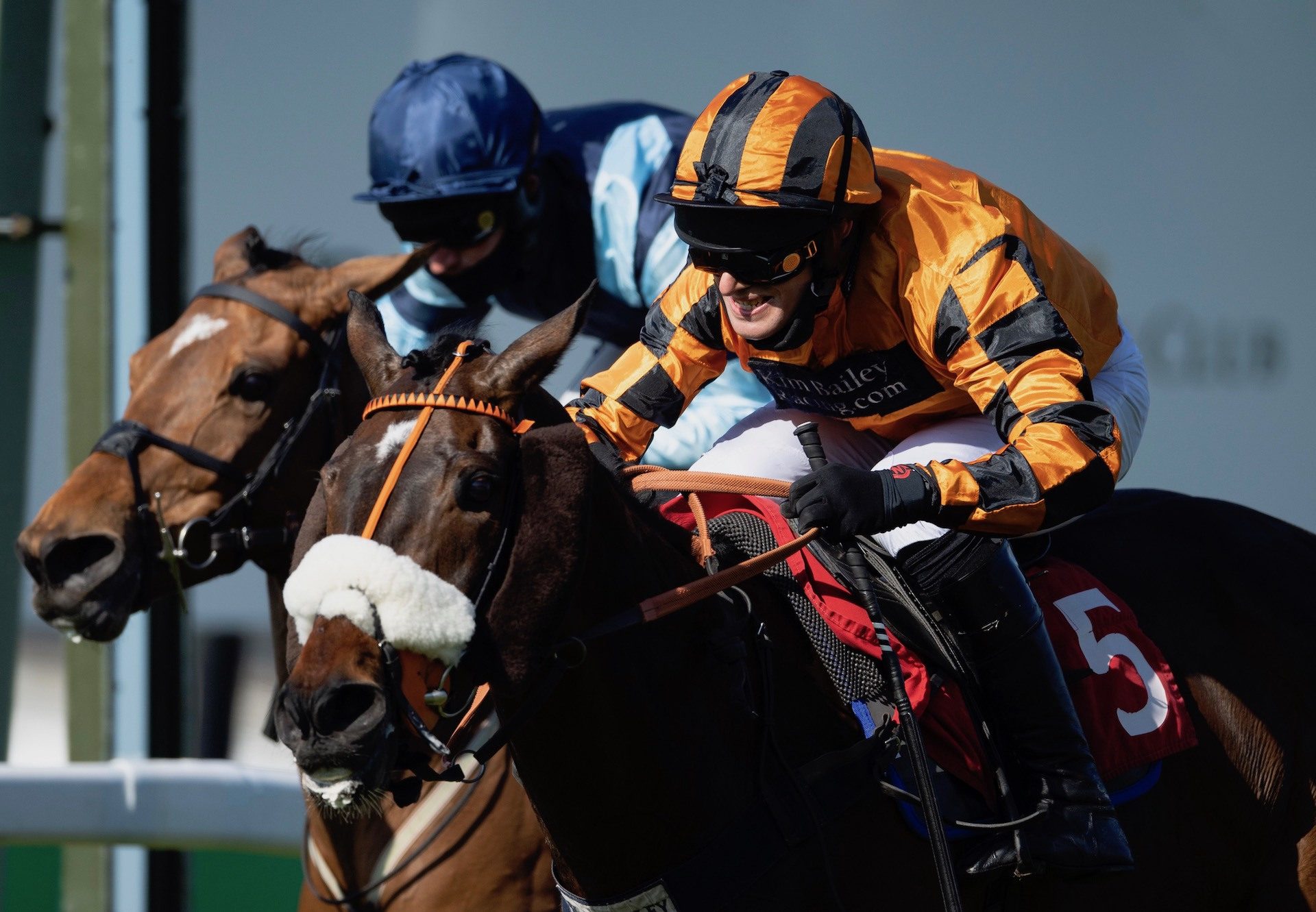 Younevercall (Yeats) Wins His Second Grade 2 Bet365 Select Hurdle At Sandown